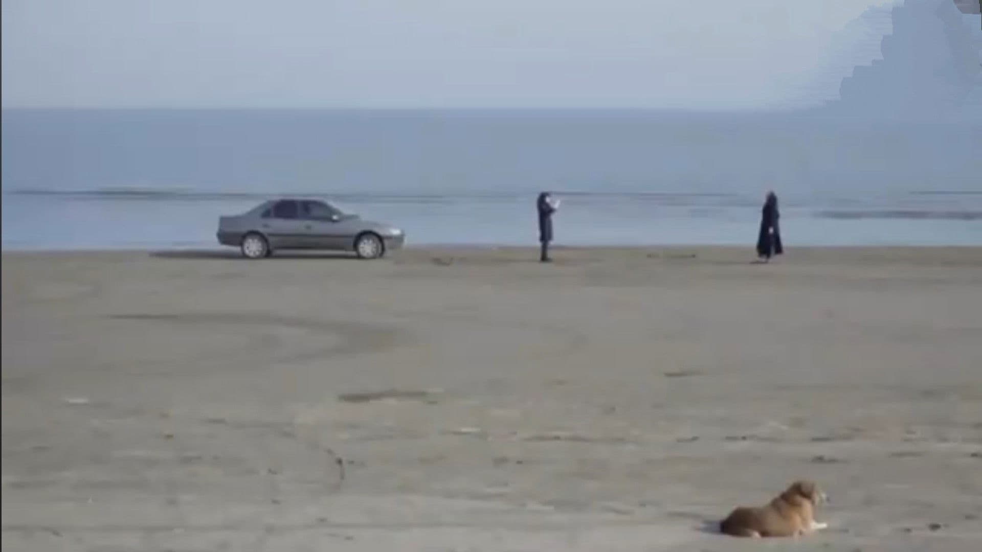 شب بخیر ملیکا