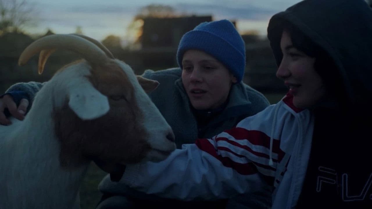 Ninja Motherf*cking Destruction