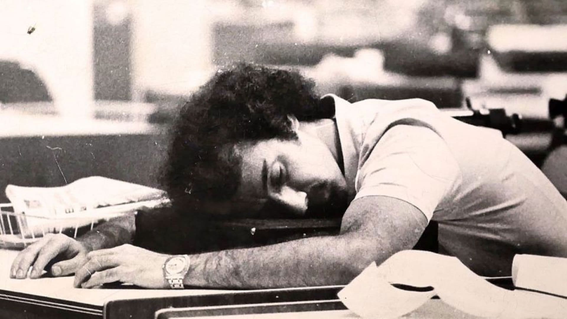 Entre gatos universalmente pardos