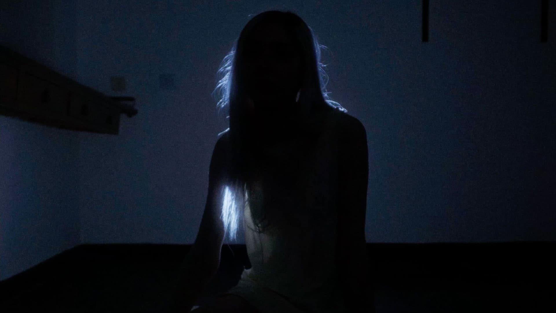 El Gato de Schrödinger