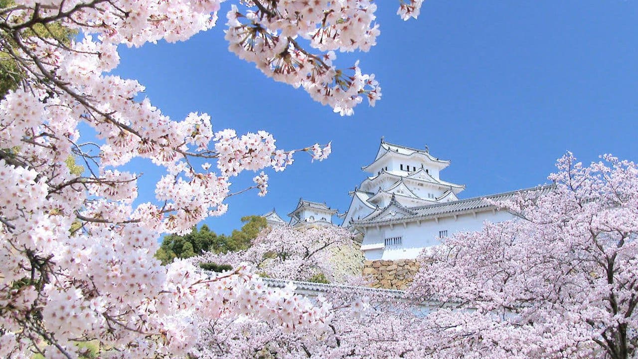 ピース・ニッポン