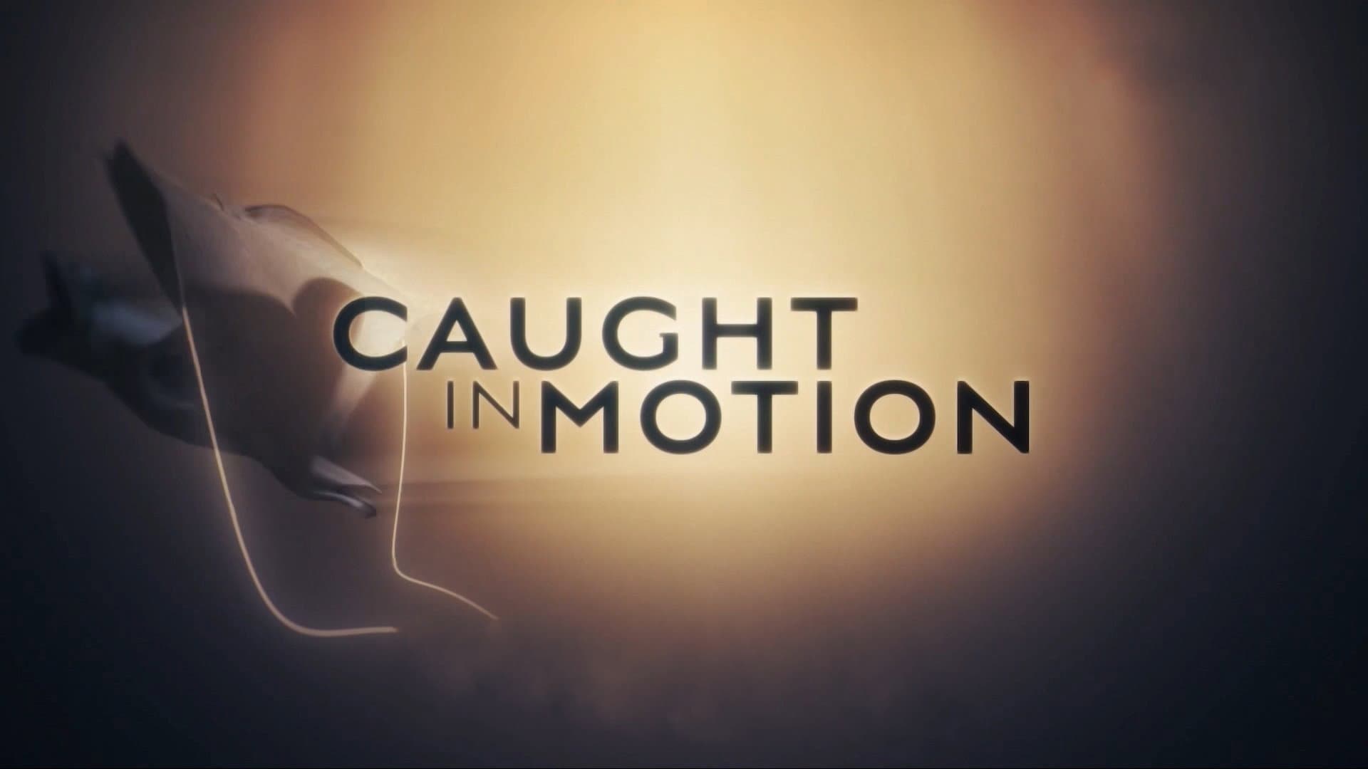 Caught in Motion