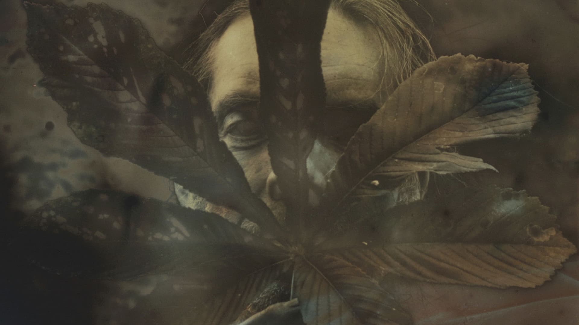 A Patriot of These Woods