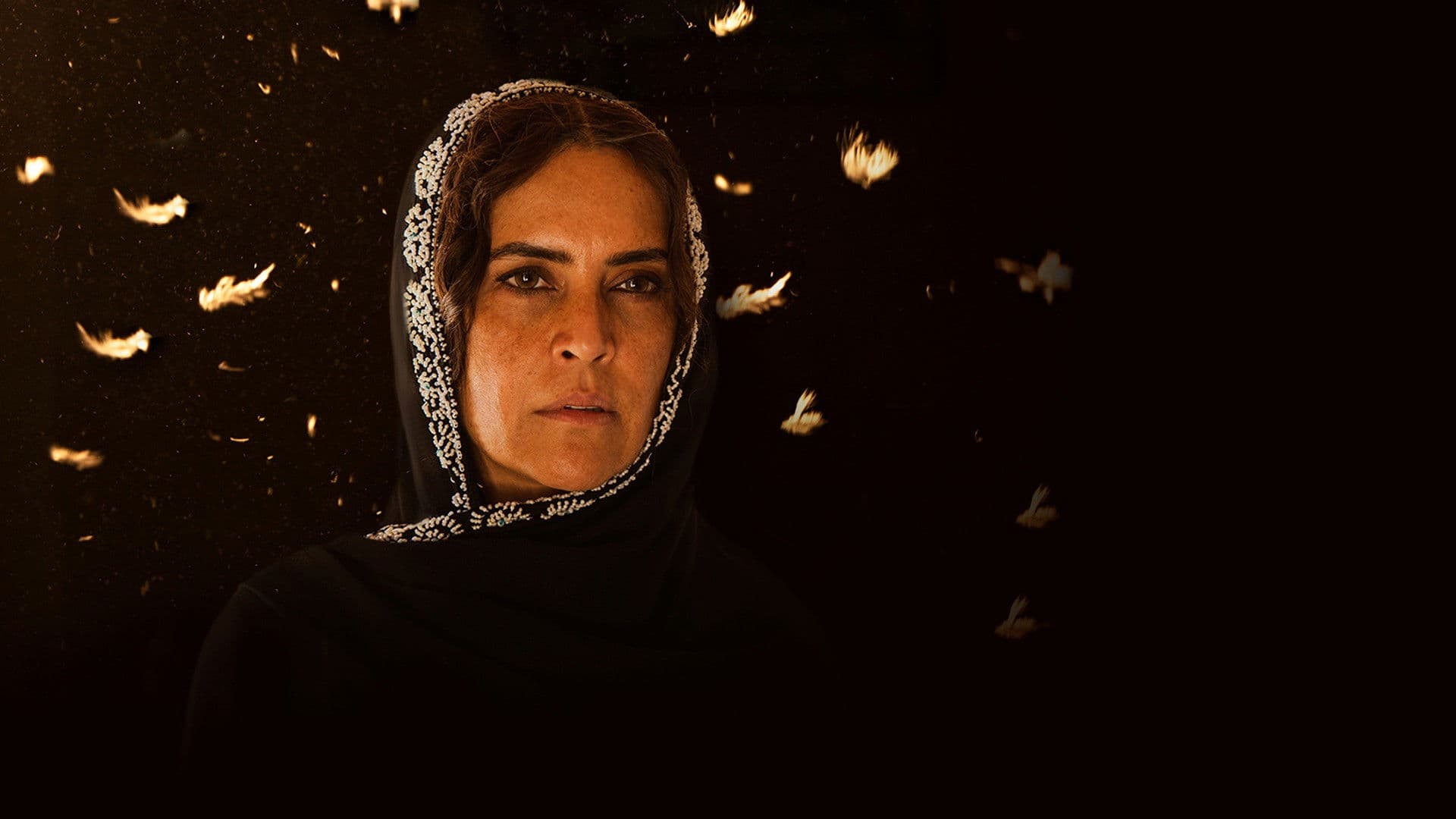 خورشید آن ماه