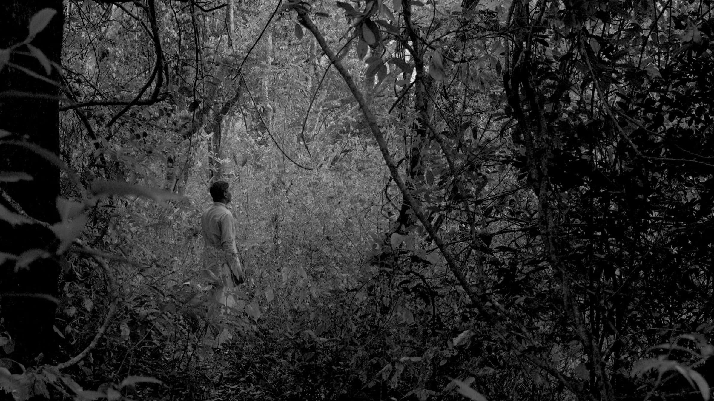 And What Is the Summer Saying