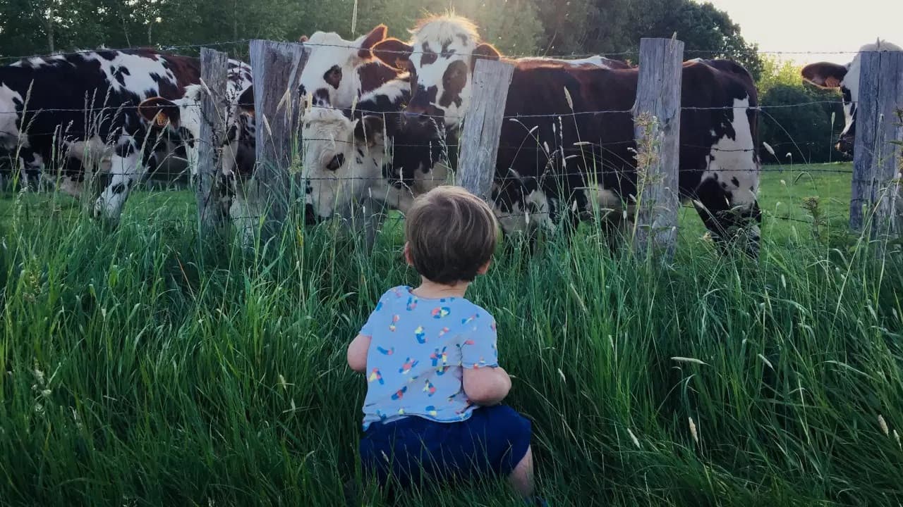 Faut-il arrêter de manger les animaux ?