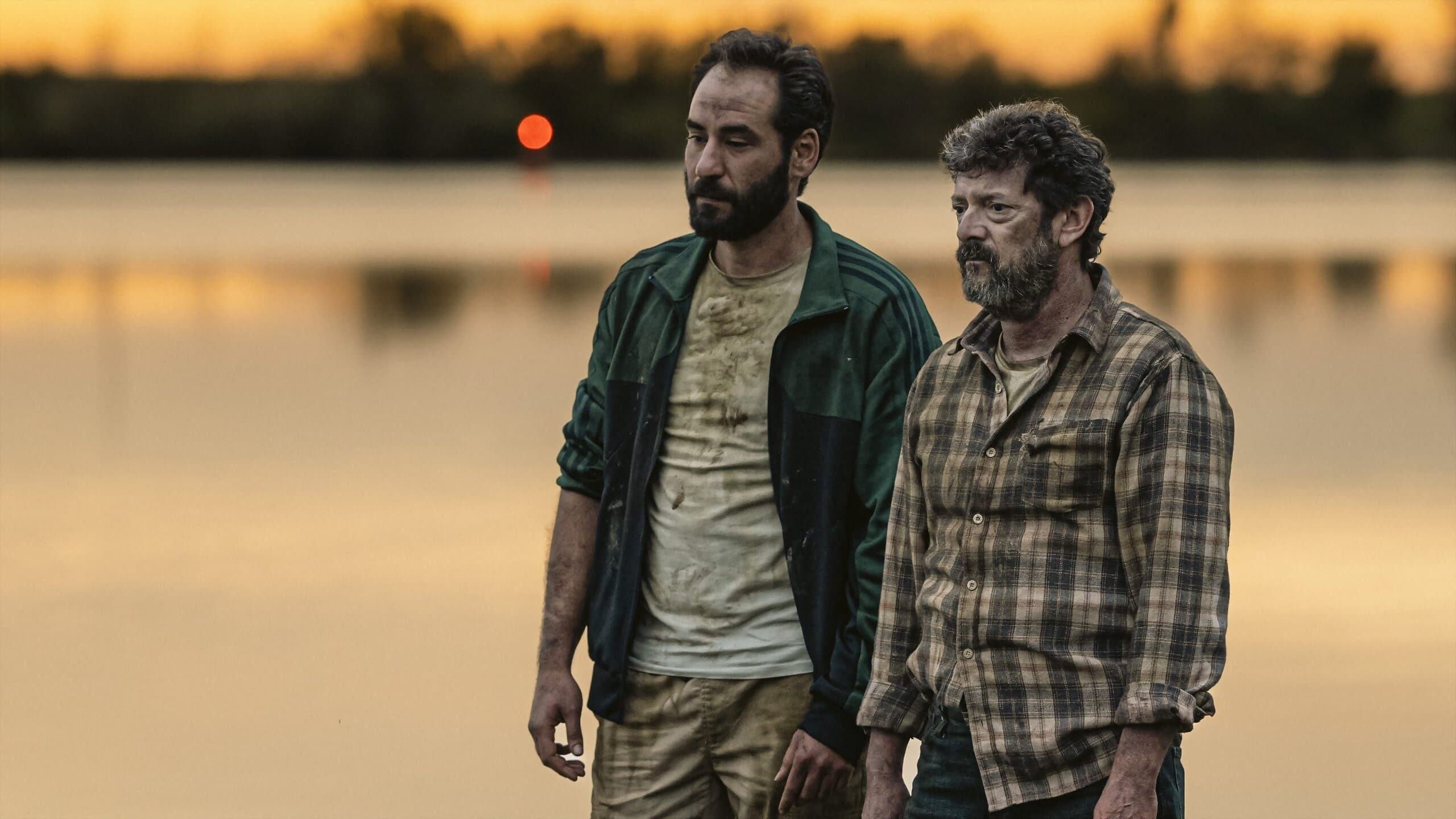 El cielo de los animales