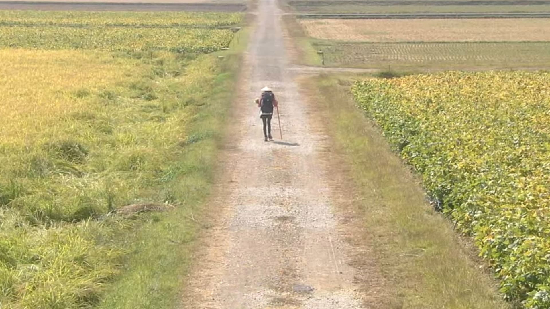 Aruku Aruku Aruku ~Shikoku Henro-michi~ SP