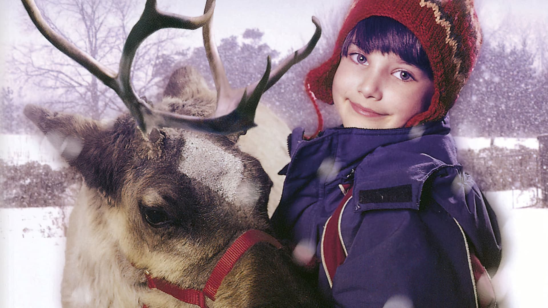 Prancer se întoarce