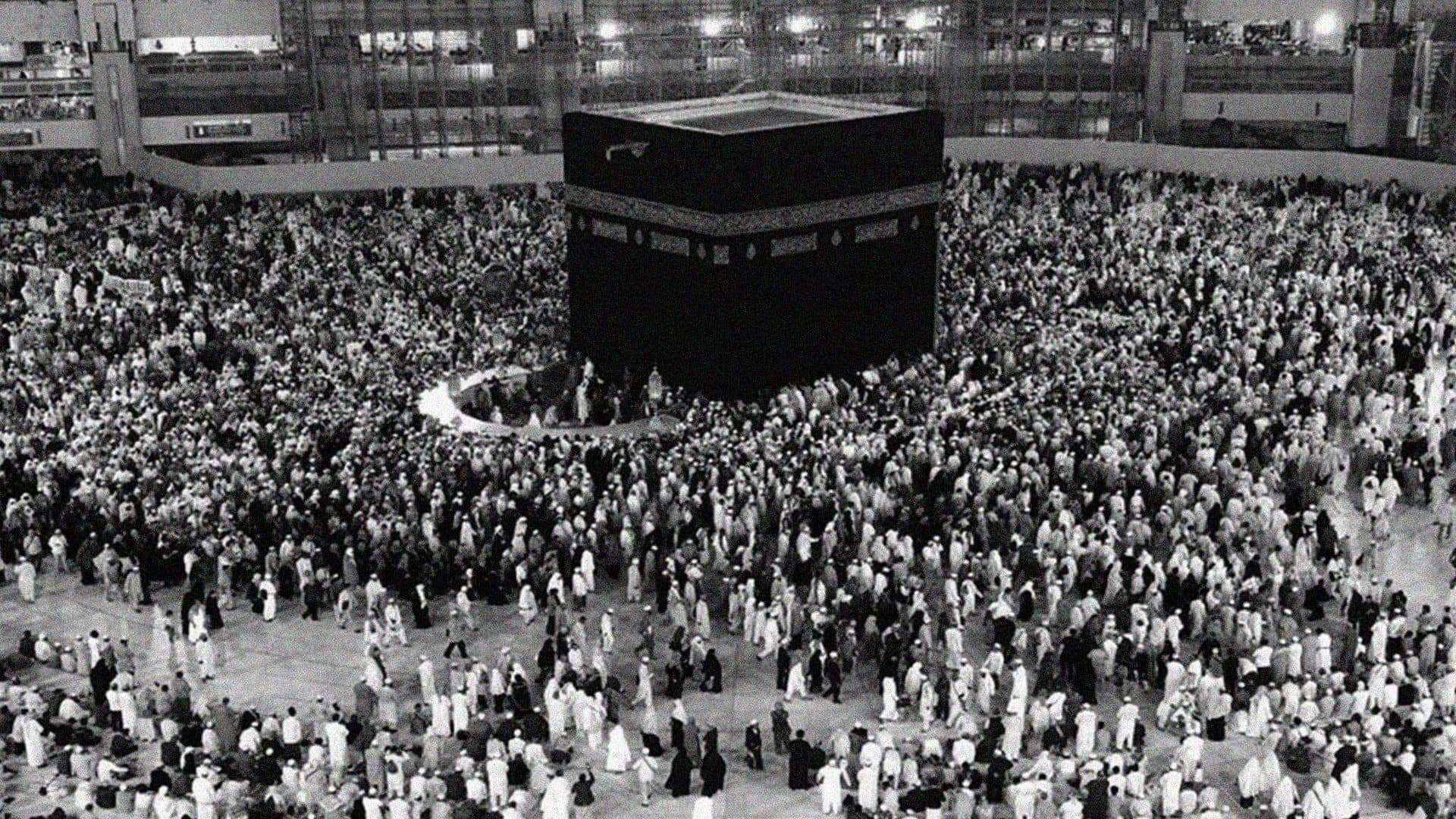 قراء الوحي