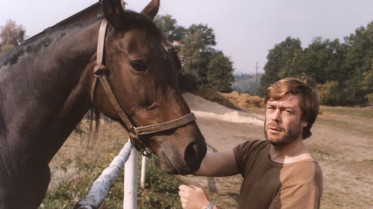 Monika a hříbě s hvězdičkou