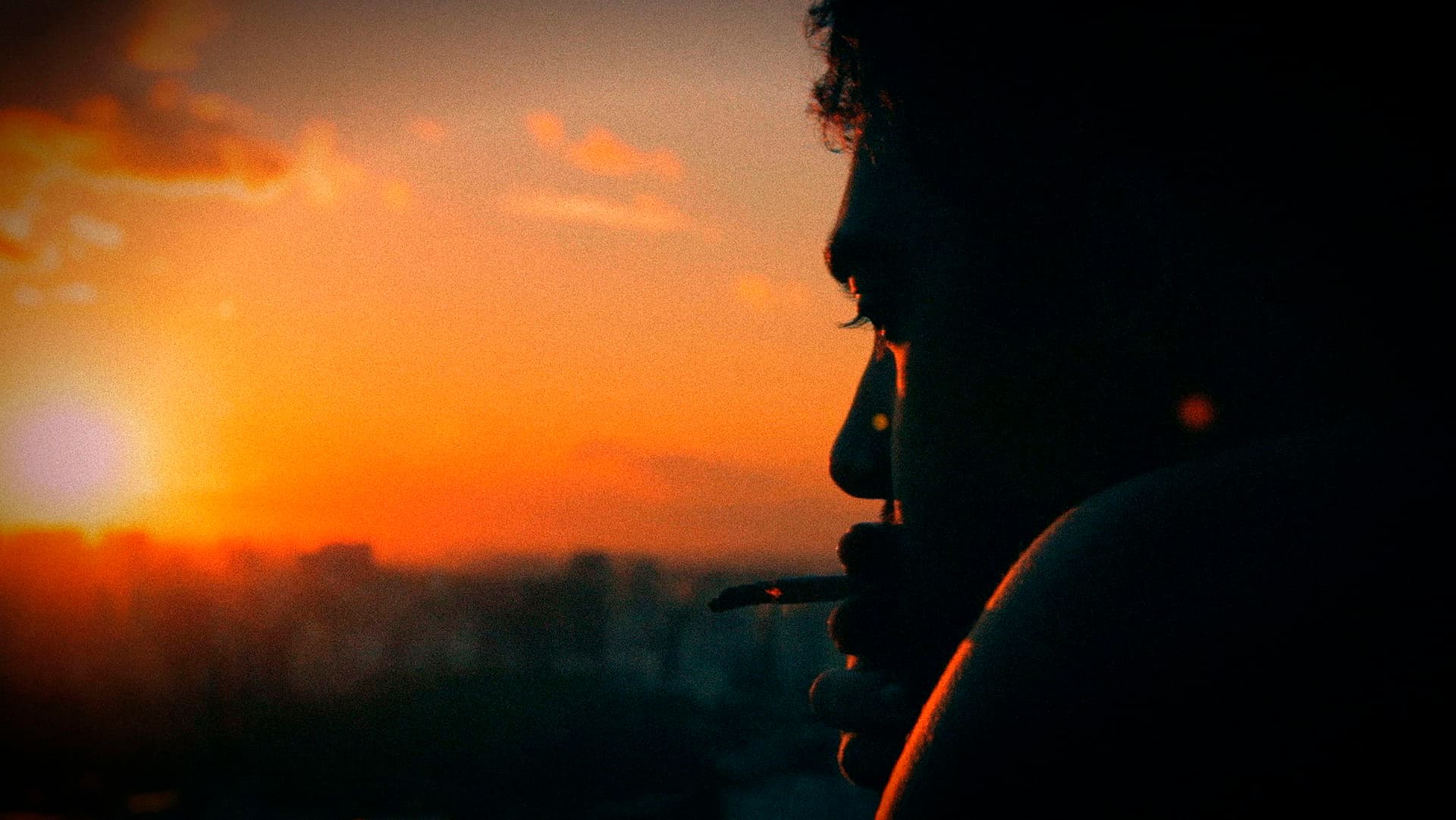 A Bruta Flor do Querer