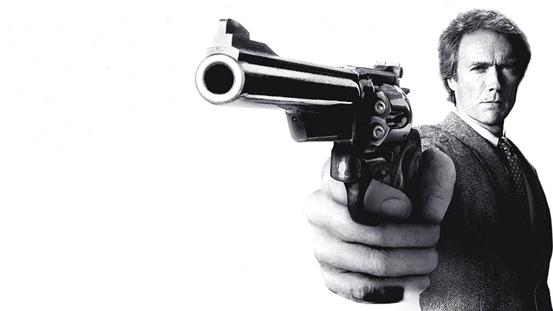 Întoarcerea inspectorului Harry