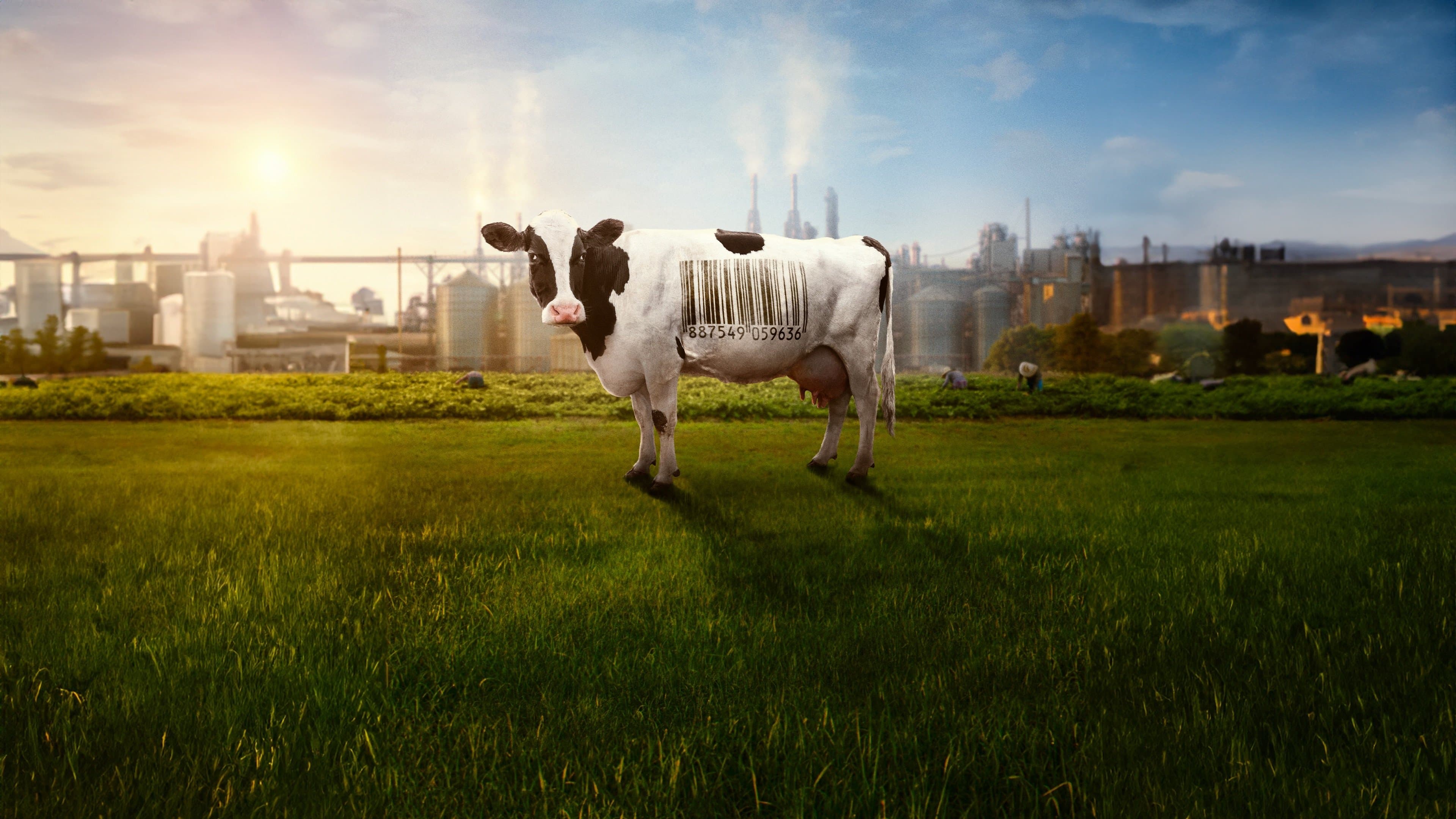 Corporația alimentară 2