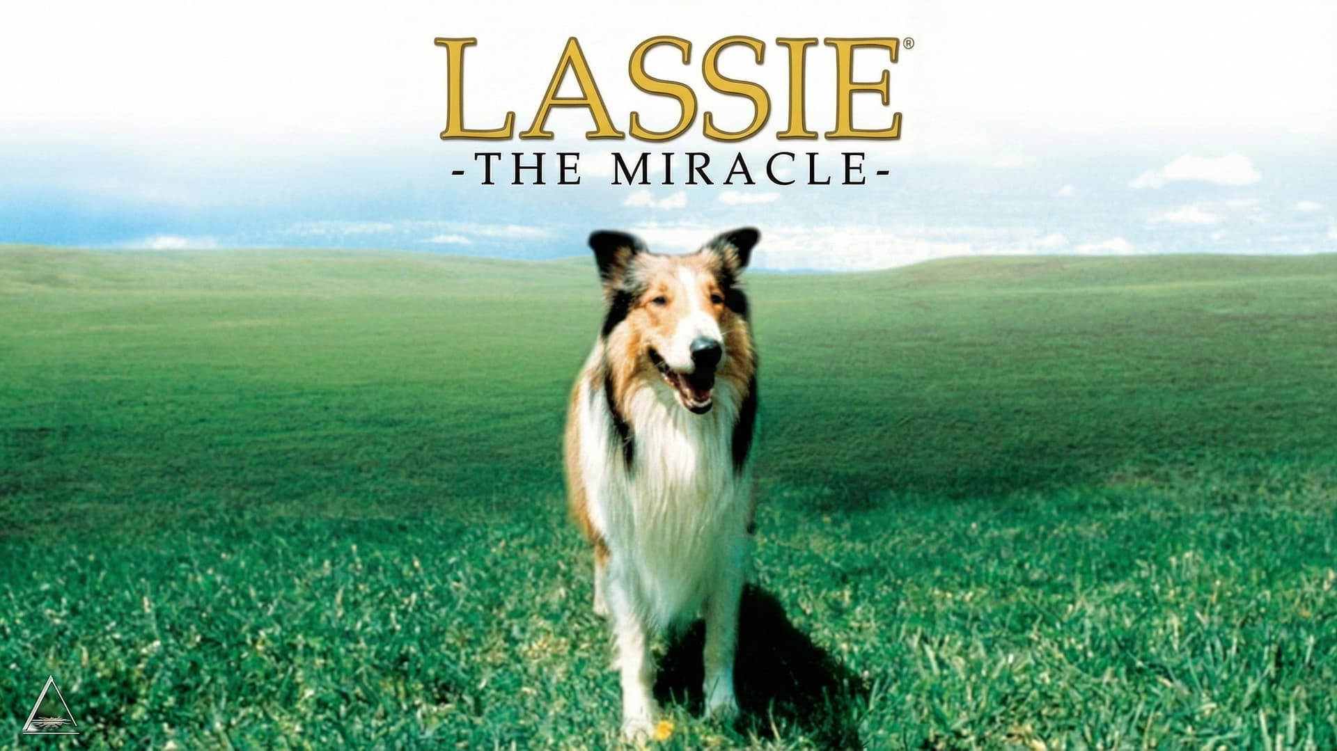 Lassie: The Miracle