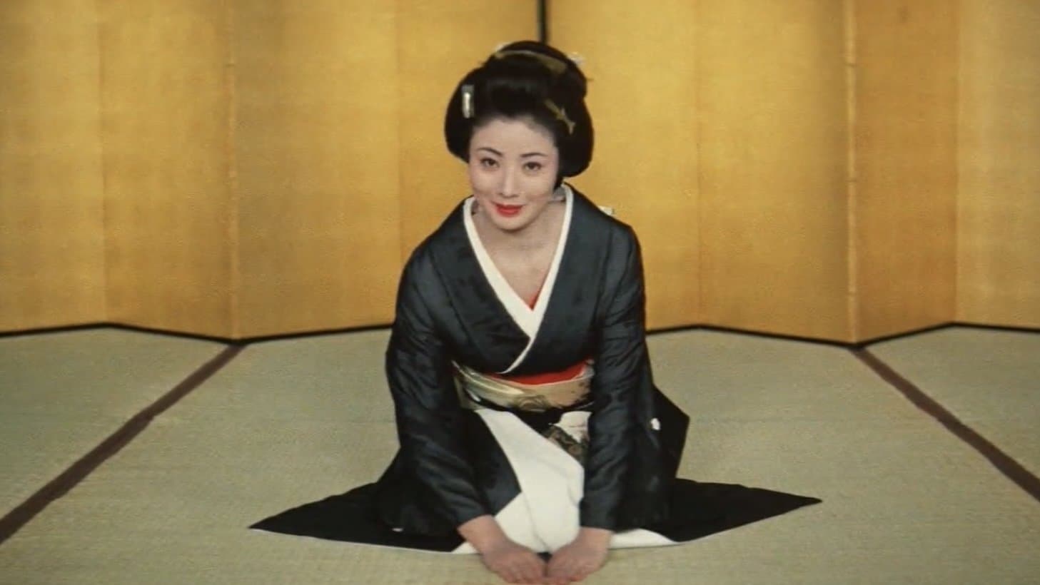 日本女侠伝  侠客芸者