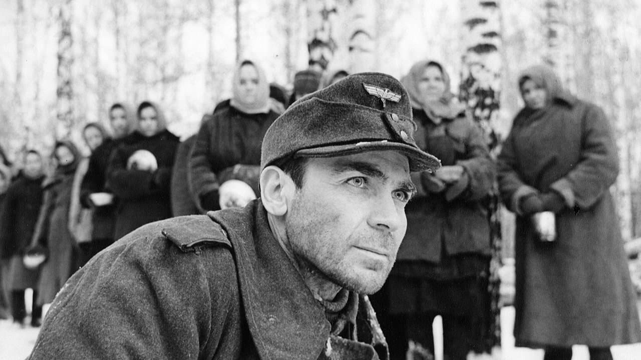 Проверка на дорогах