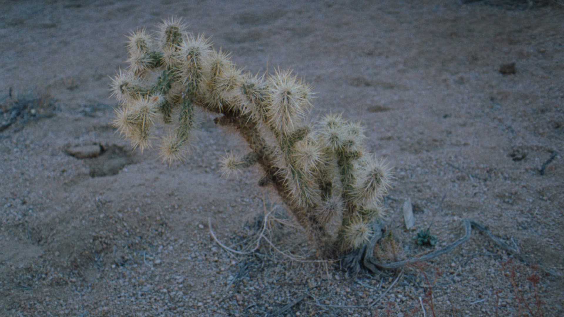 Van ver staat het stil