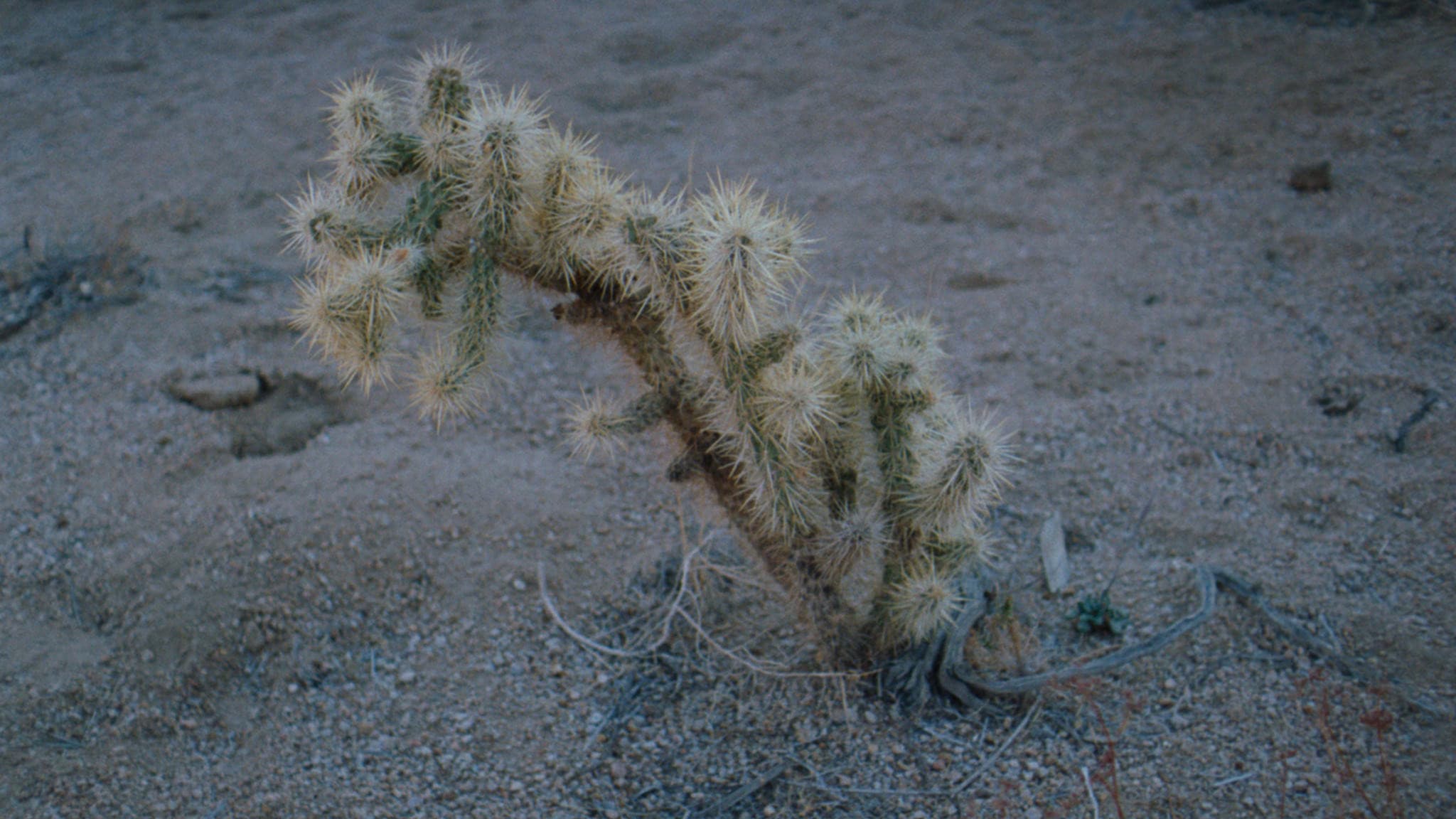 Van ver staat het stil
