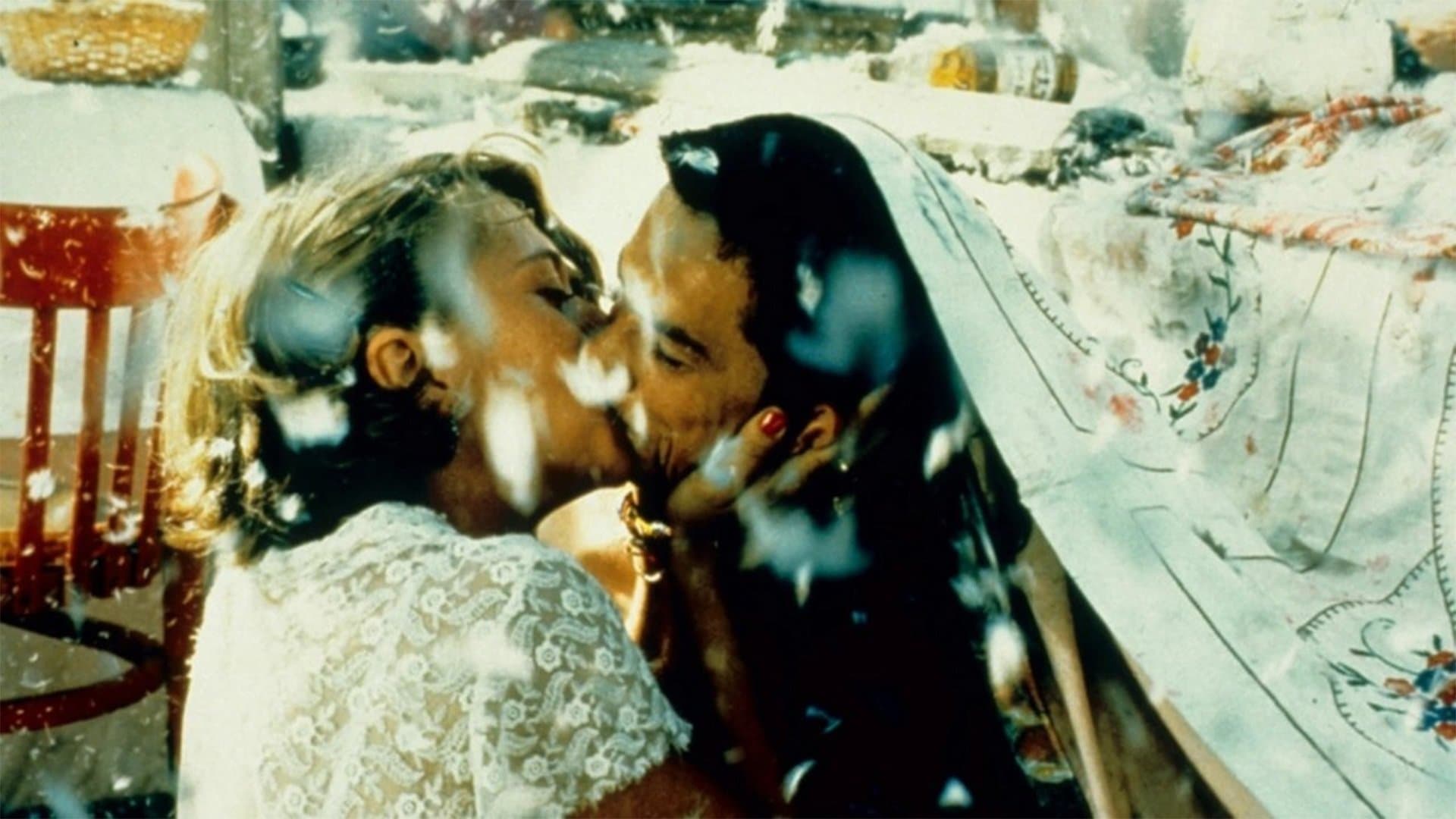 Pisica albă, pisica neagră