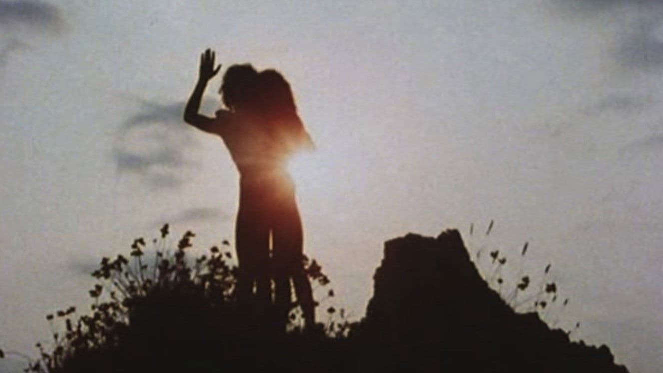 Visa de censure n° X