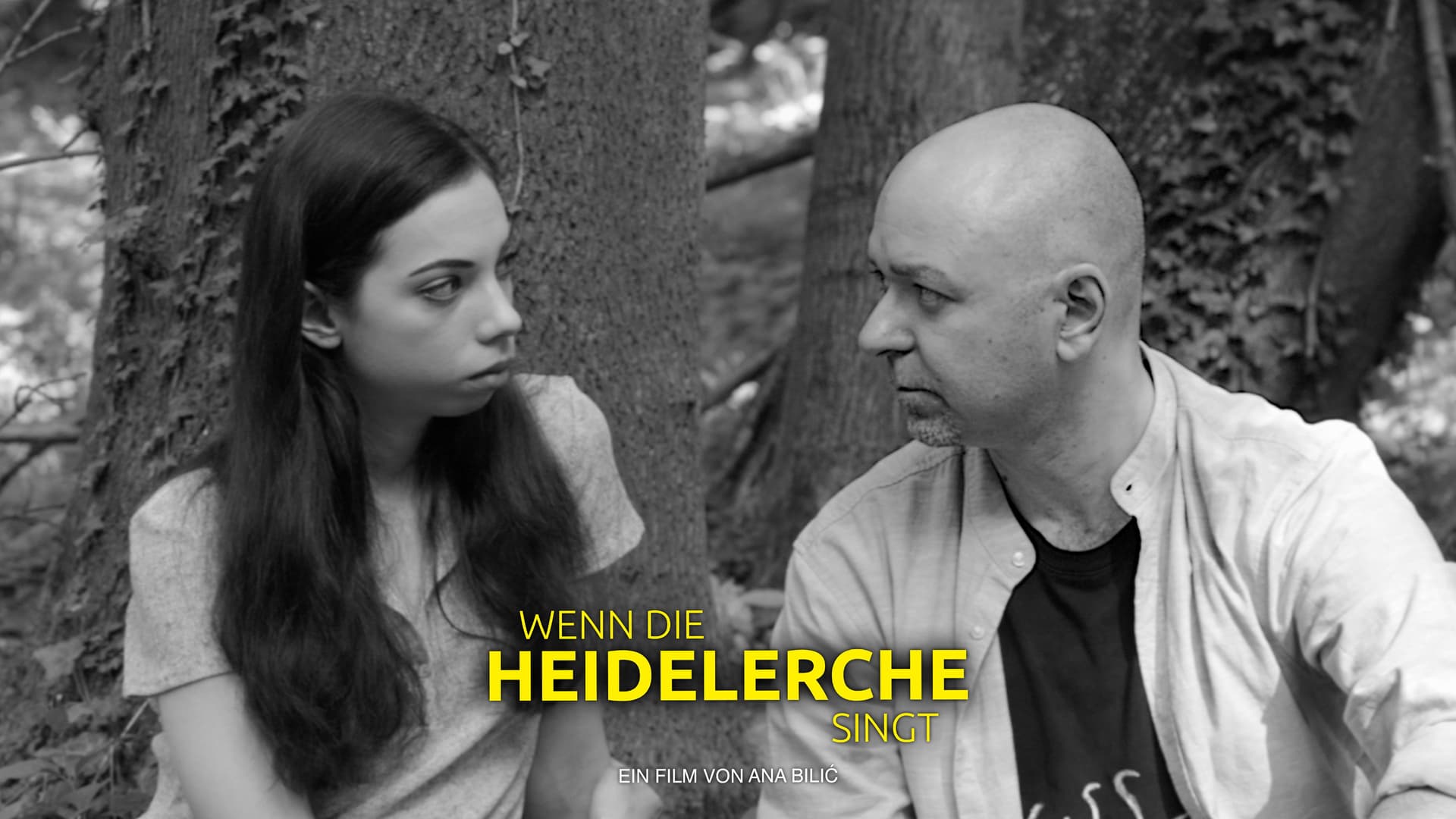 Wenn die Heidelerche singt