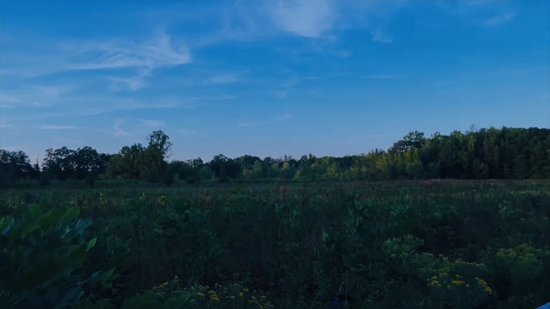 Requiem for a Lifetime