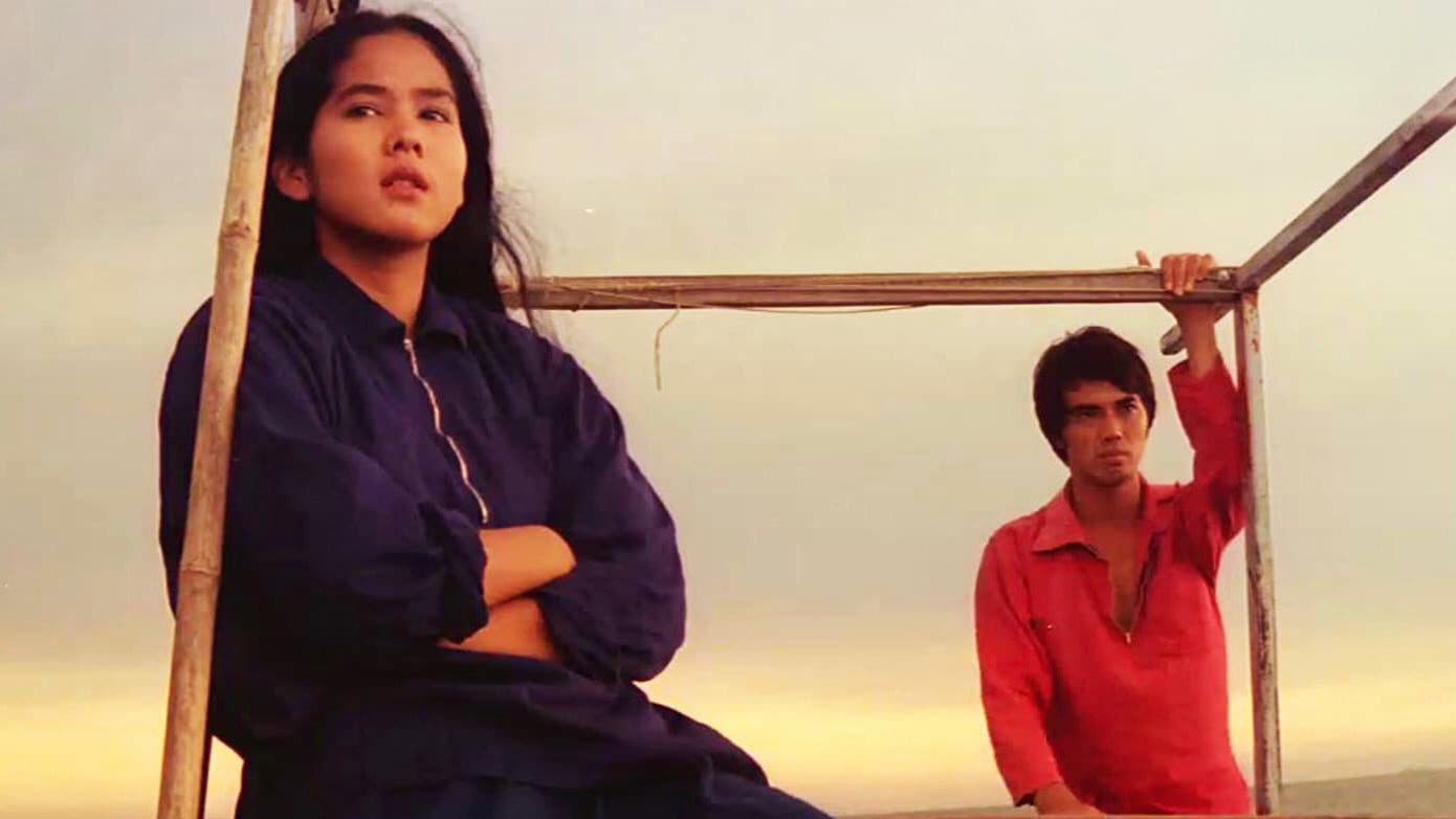 กัปตันเรือปู