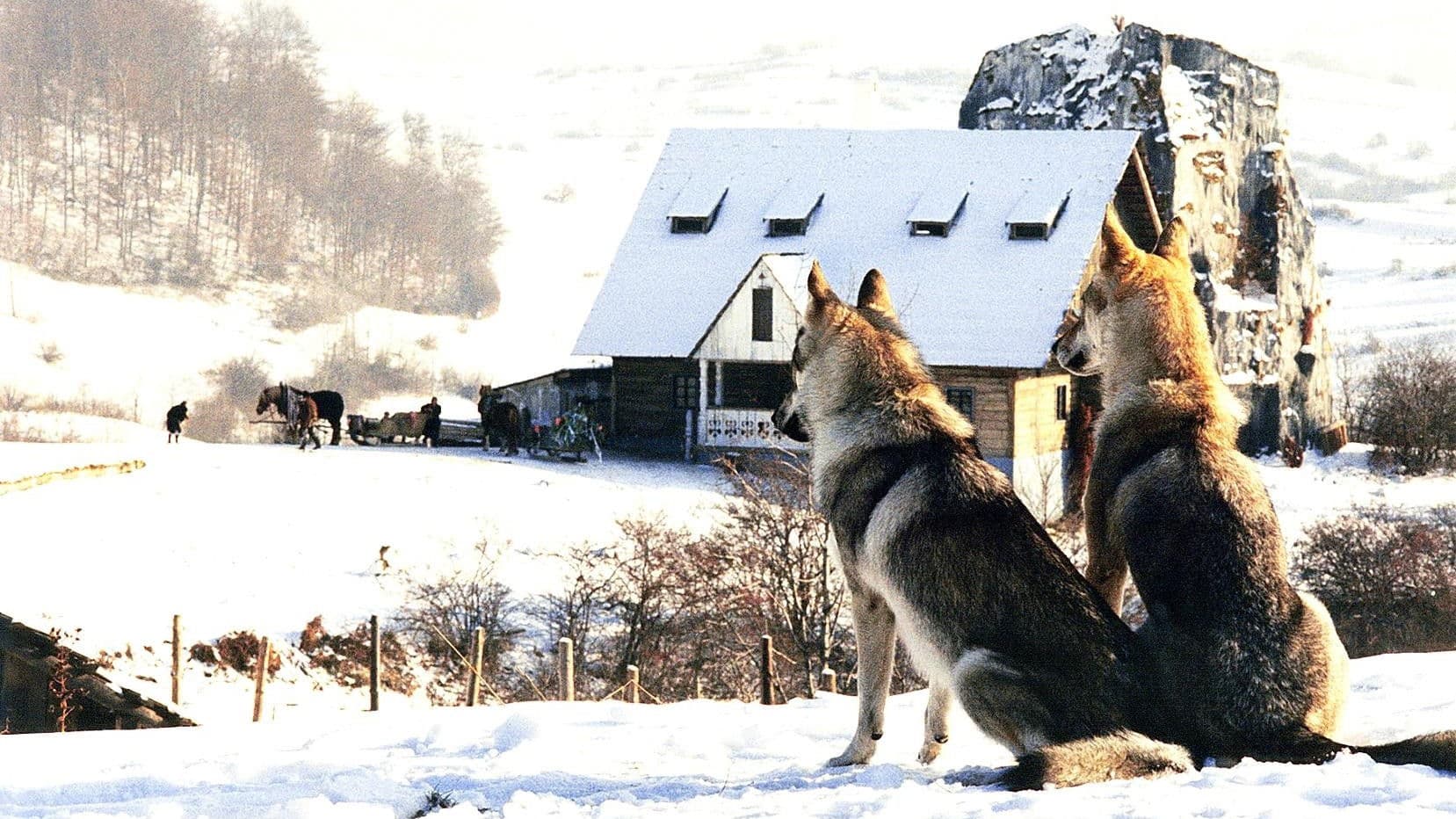 Nejasná zpráva o konci světa