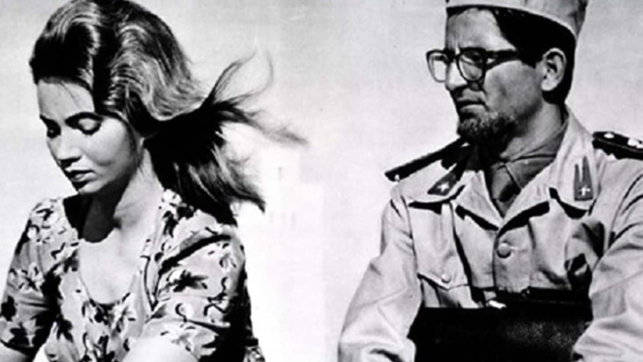 Quattro notti con Alba