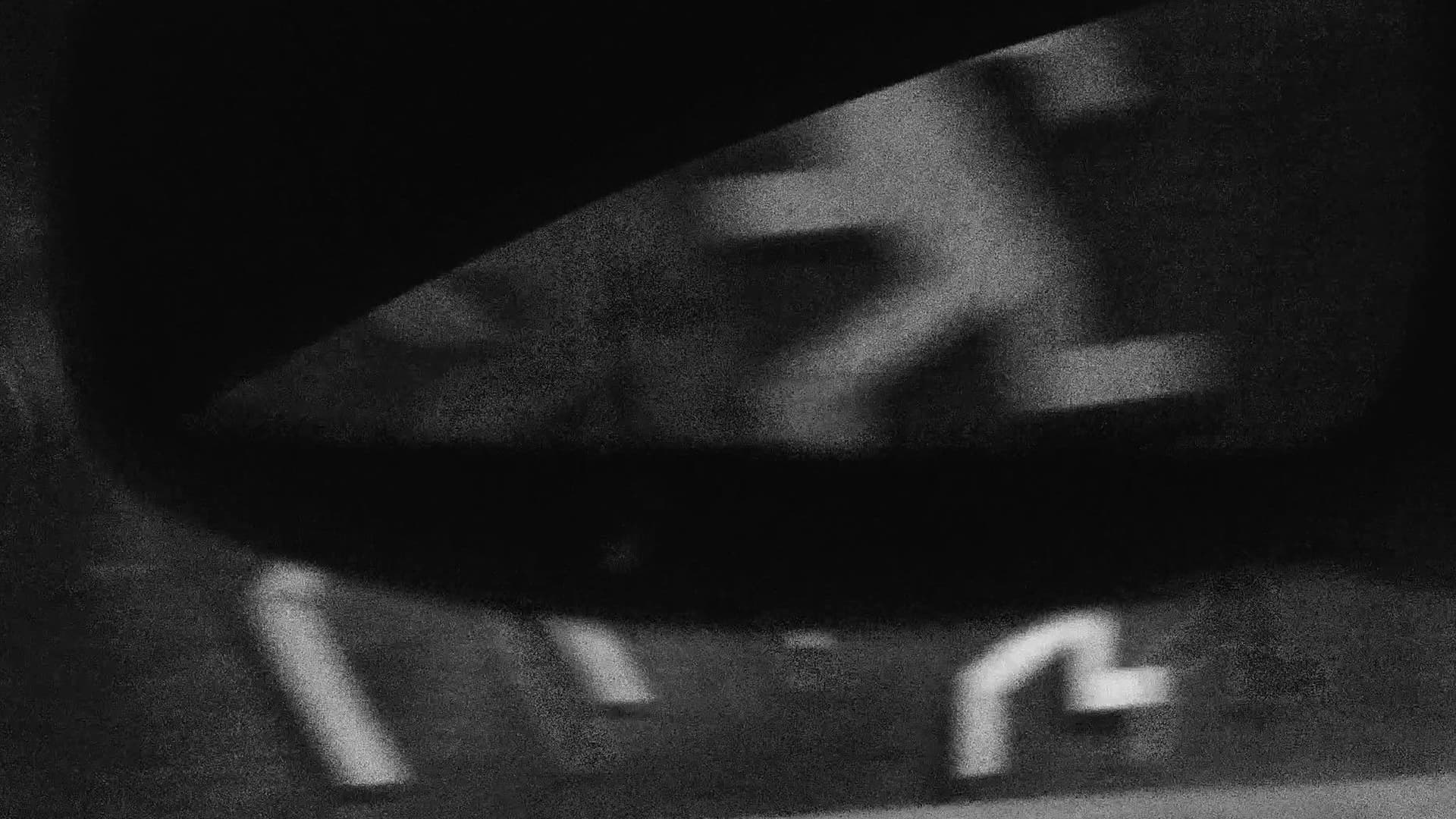 Eu Sonho com Uma Noite Tropical na Bela América do Sul