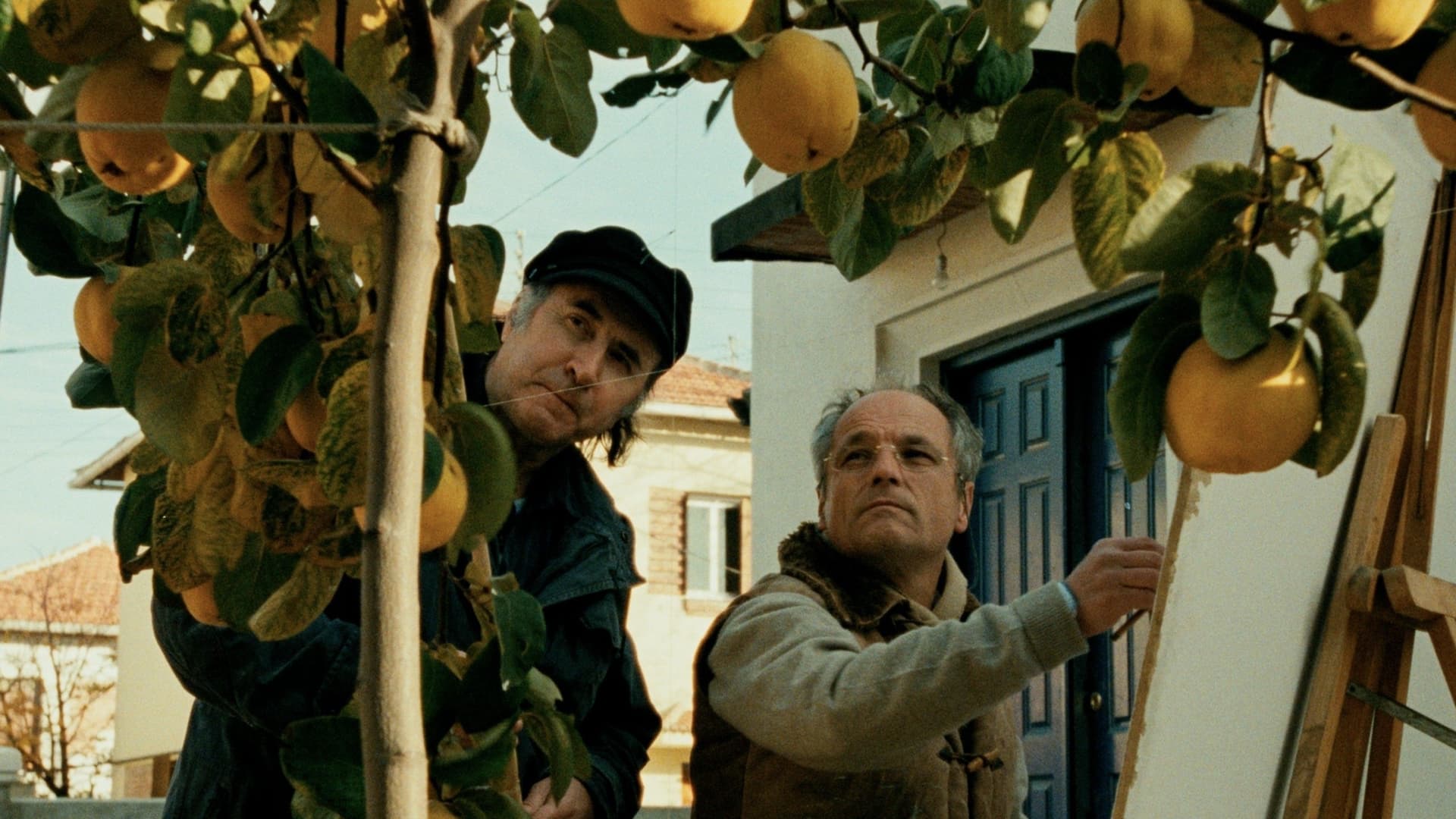 El sol del membrillo