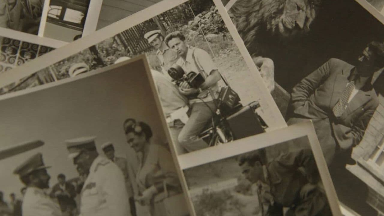 Досије Лабудовић