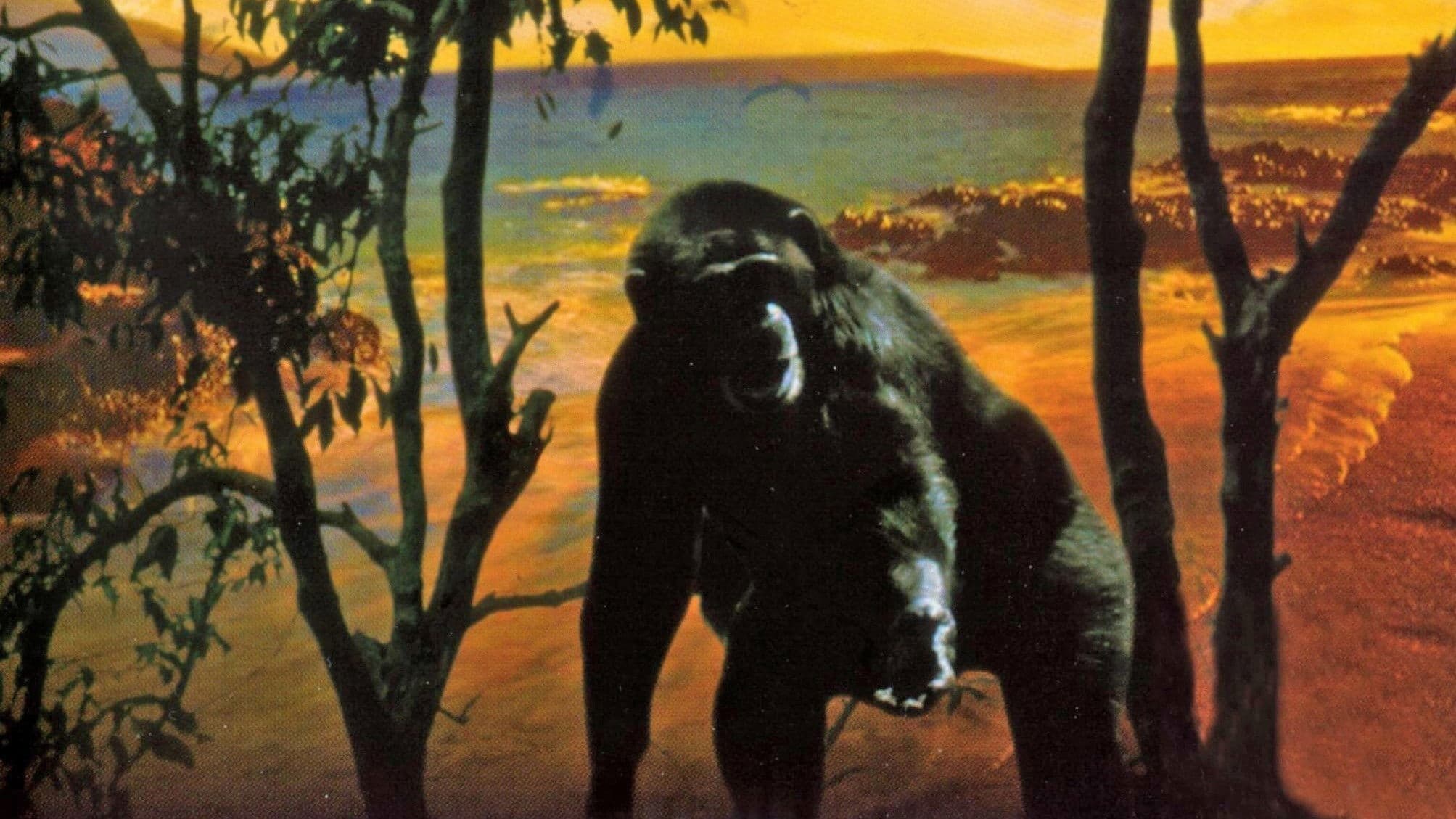 Le Bestiaire d'amour