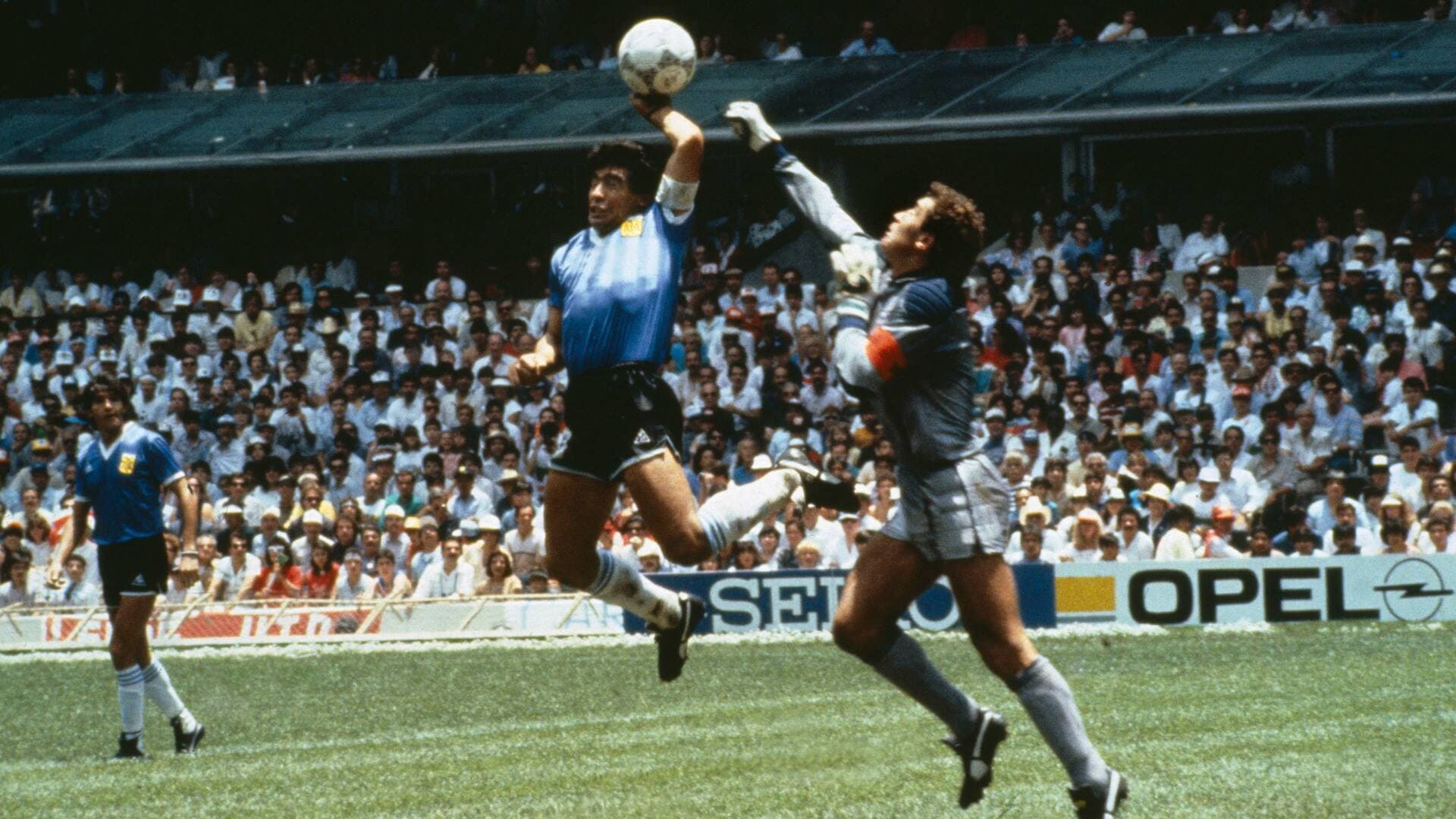 Informe Plus+. México 86 cuando Maradona se hizo D10S