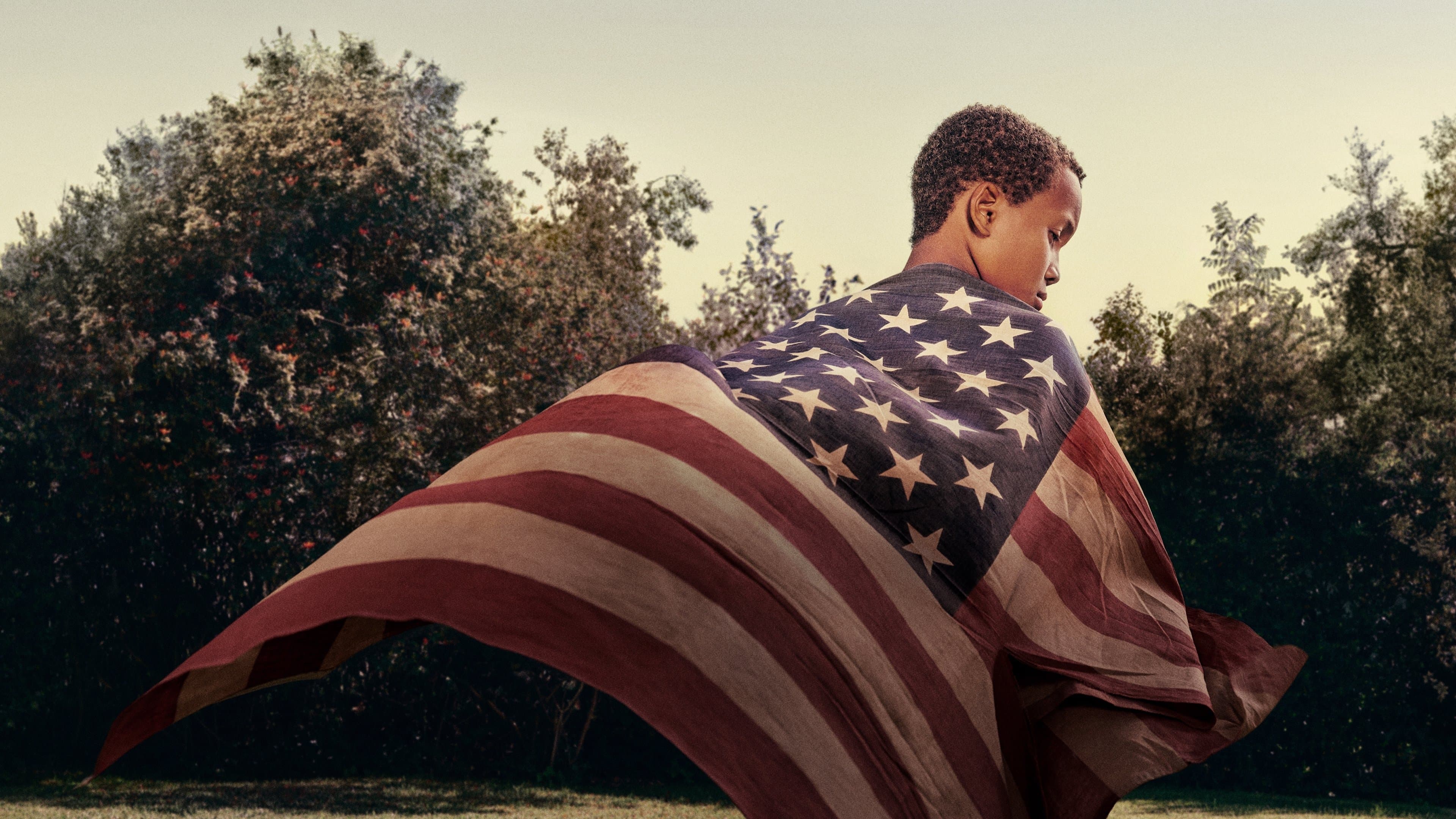 Proiectul 1619: Istoria sclaviei