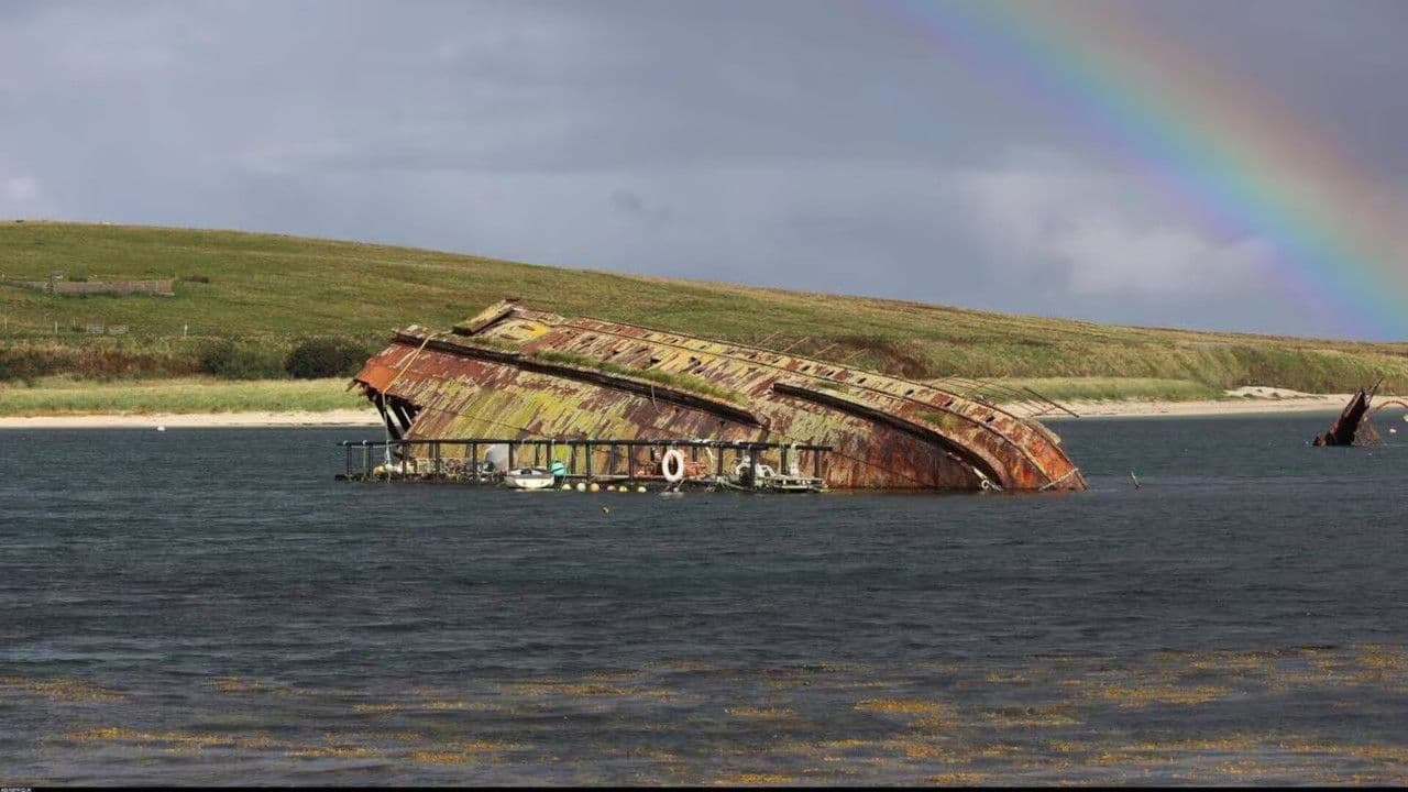 La Première Guerre mondiale : combats sur les mers