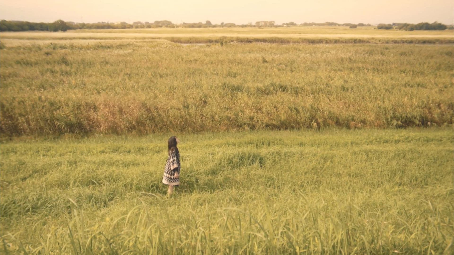 ミュジックのこどもたち