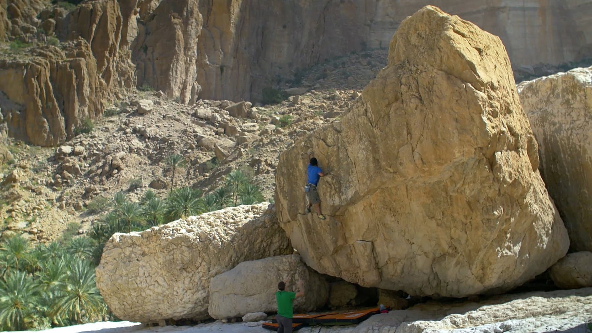 Valley Of Giants