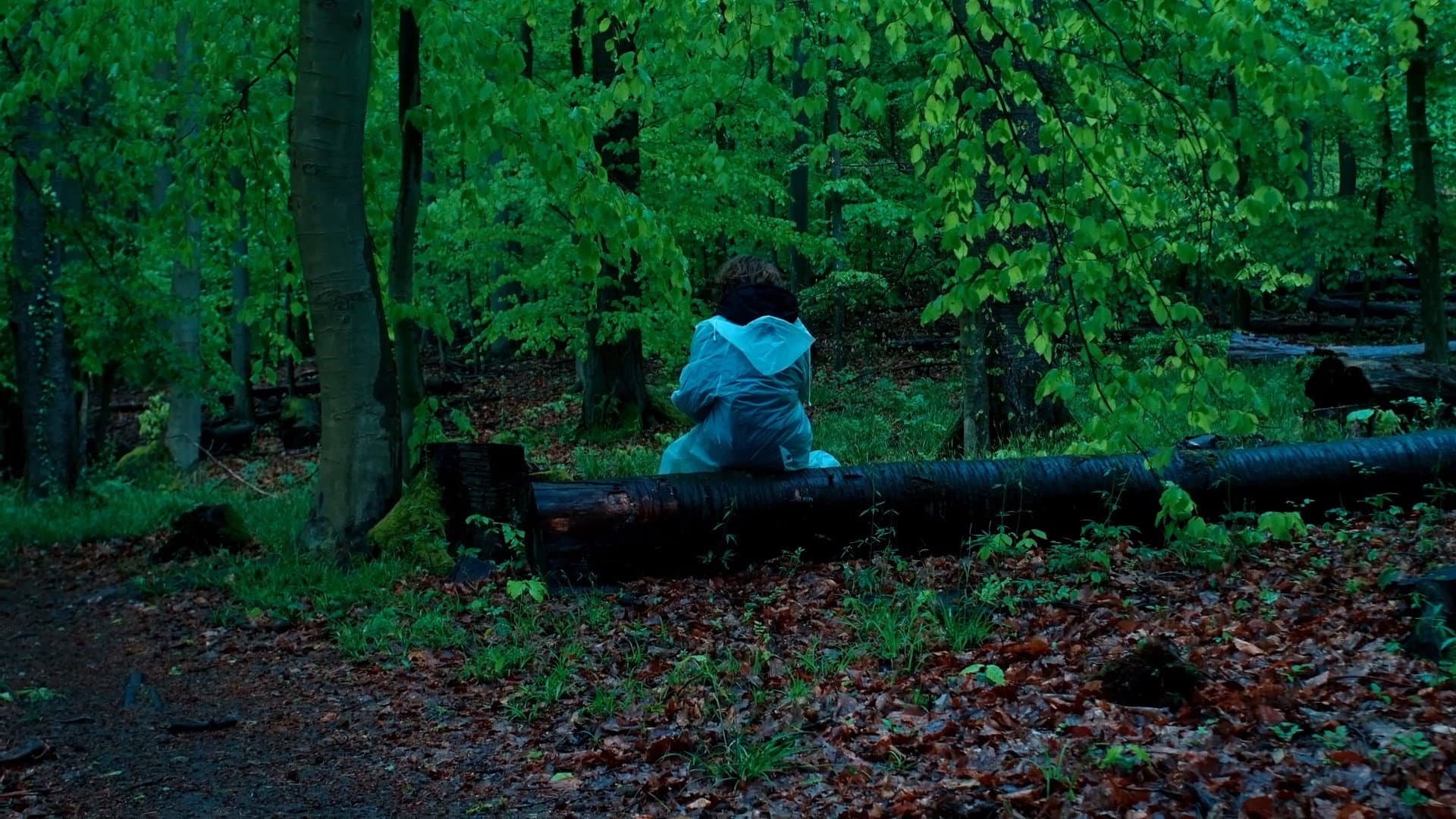 Пфаффендорфський ліс