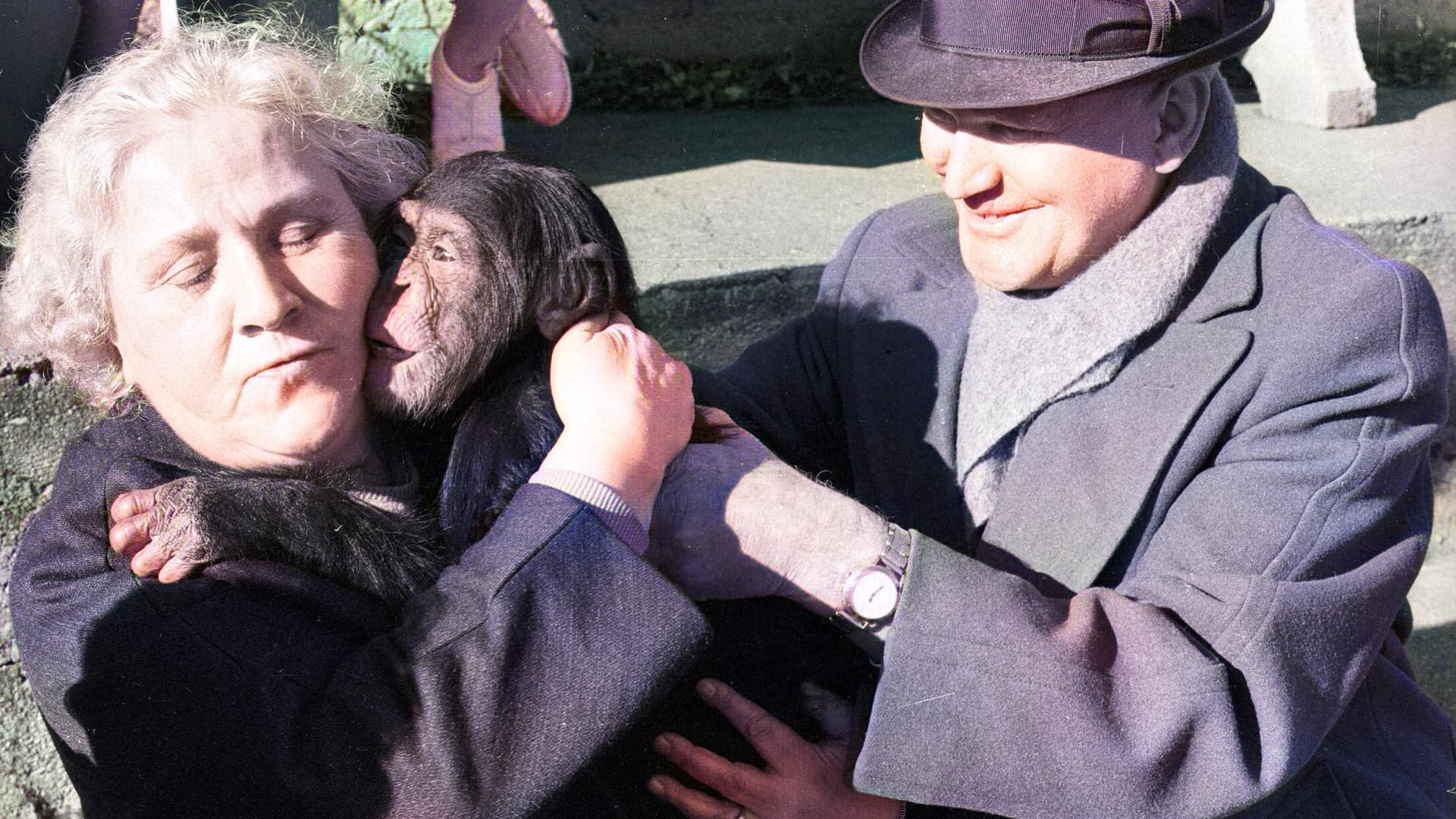 Tărâmul tăcerii și al întunericului