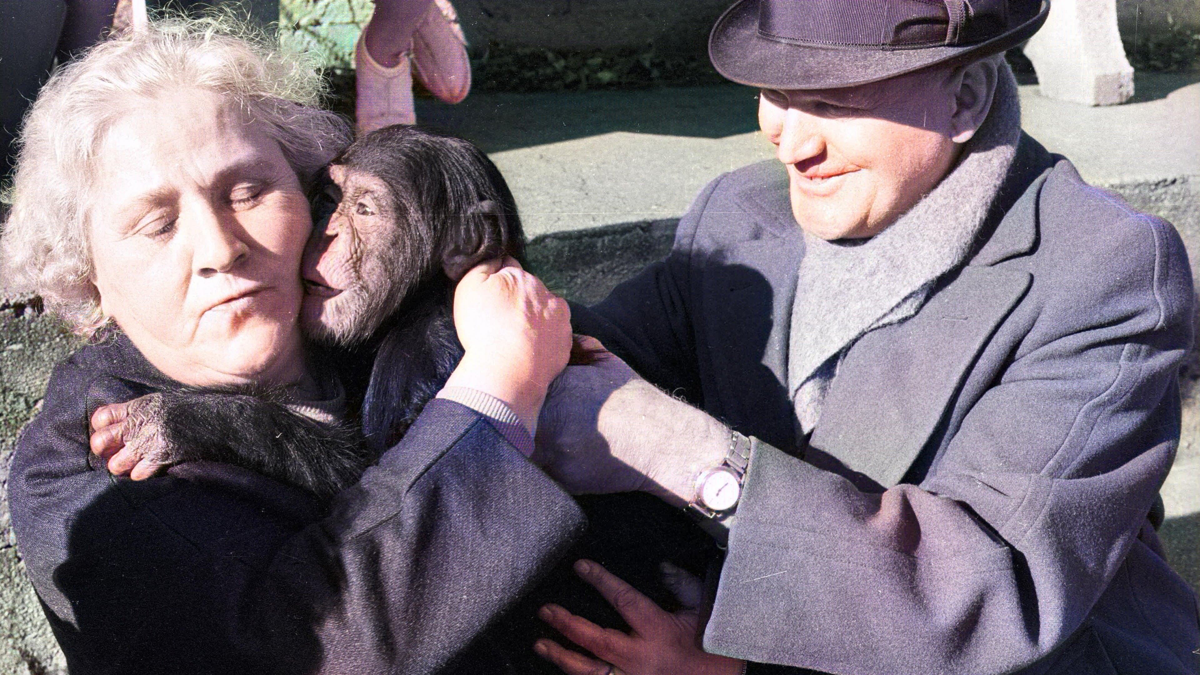 Tărâmul tăcerii și al întunericului