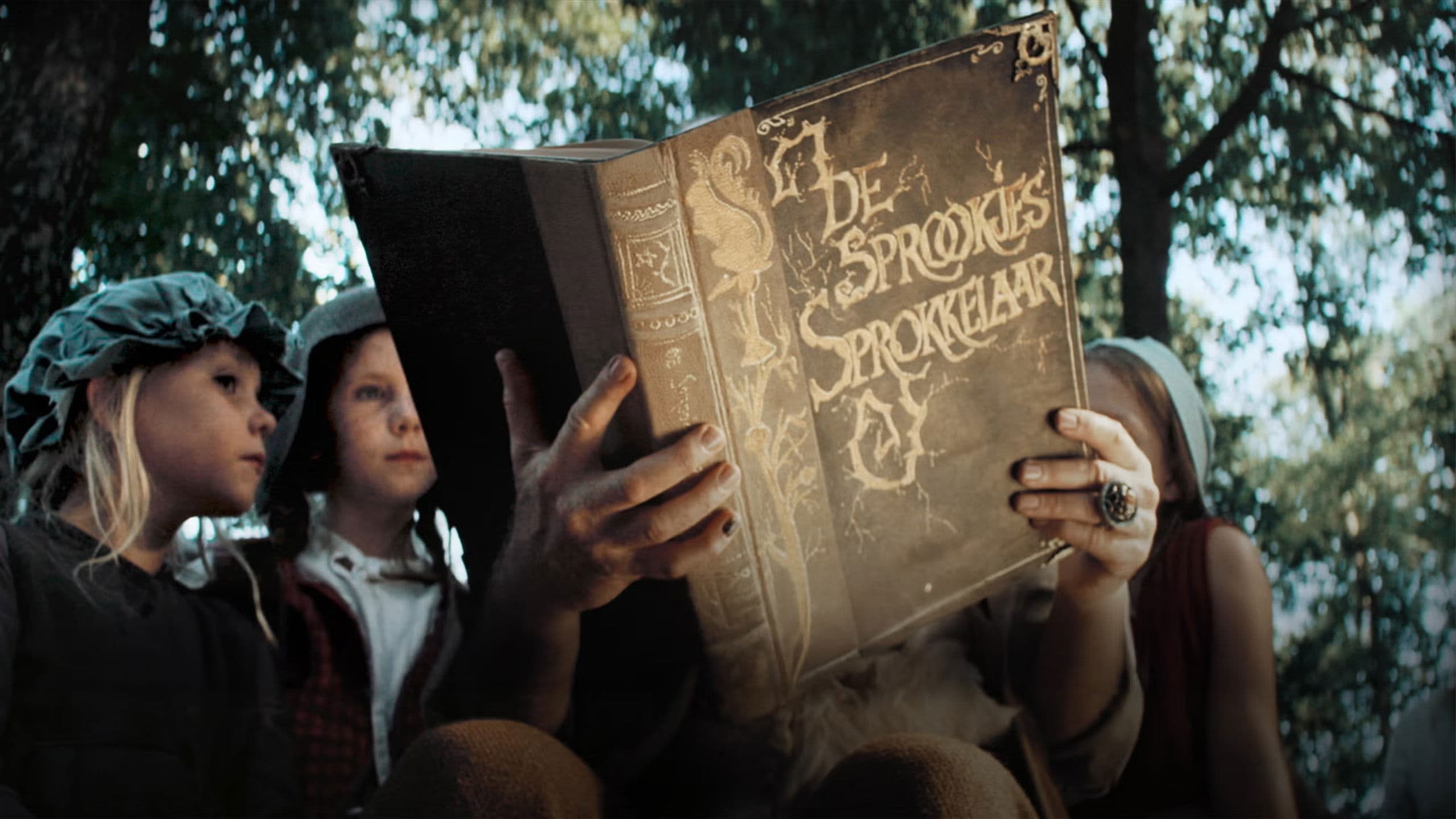 Efteling: Het Verhaal Van De Sprookjessprokkelaar