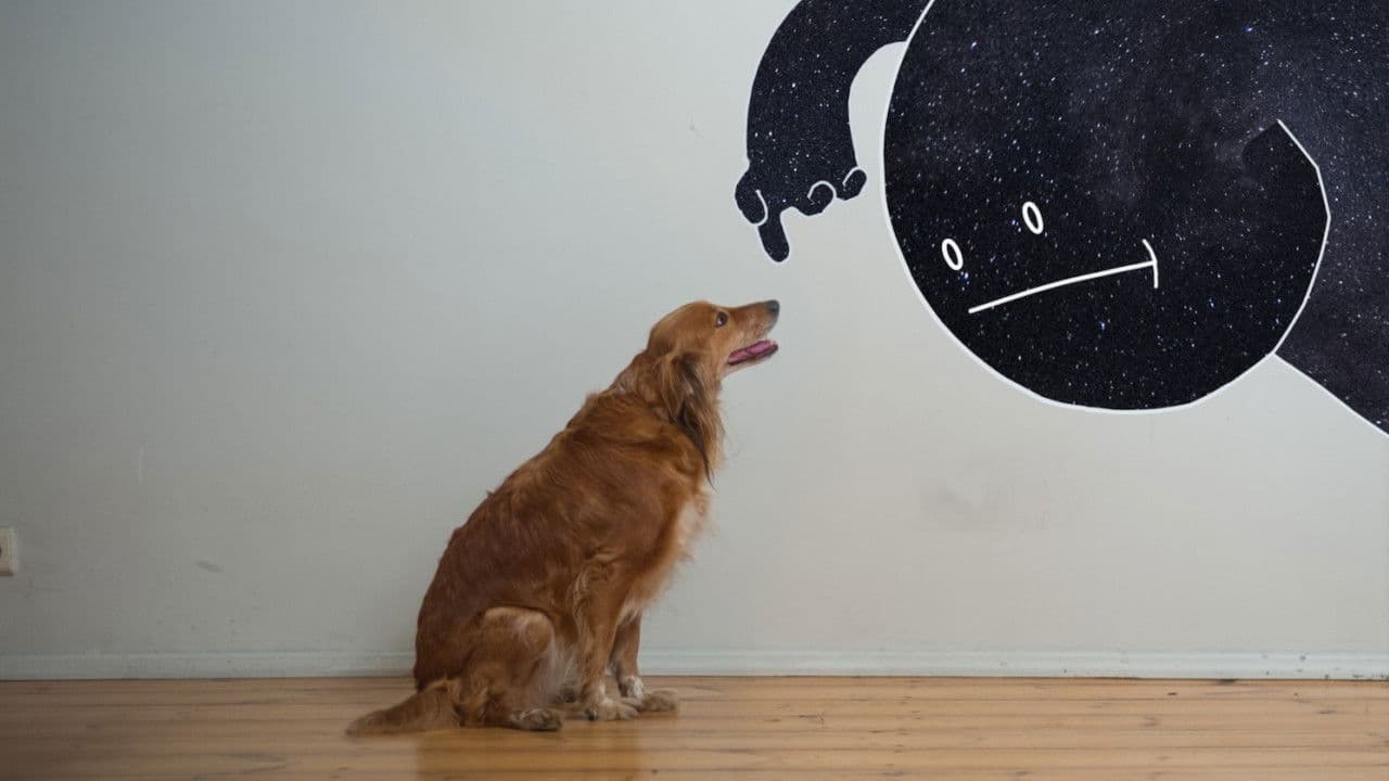 Pono Nakties laisvadienis