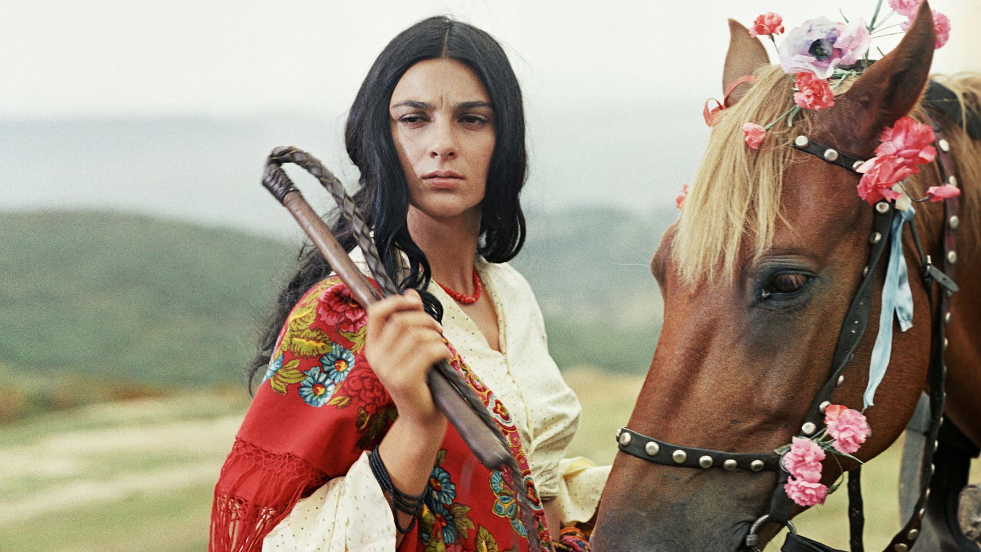 Şatra