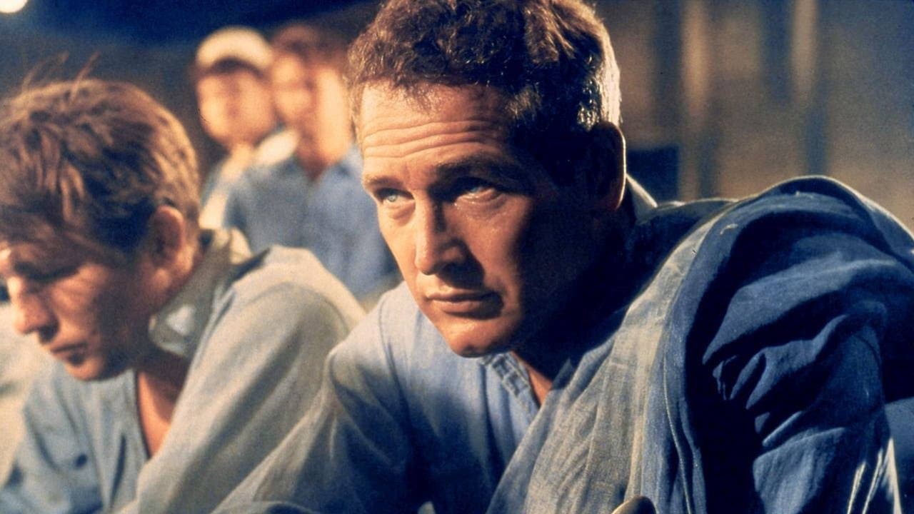 Paul Newman: Neliniștitul