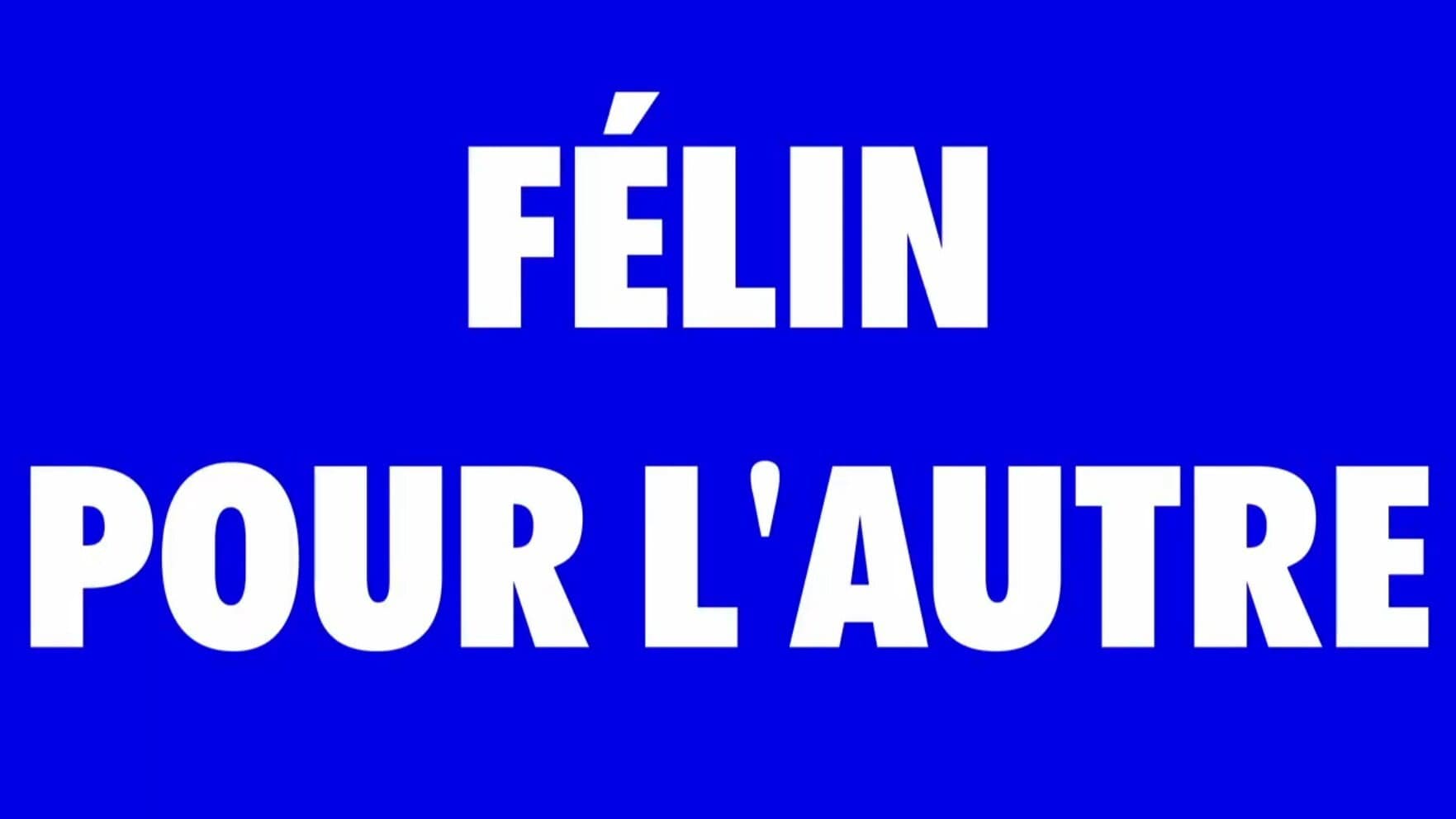 FÉLIN POUR L'AUTRE