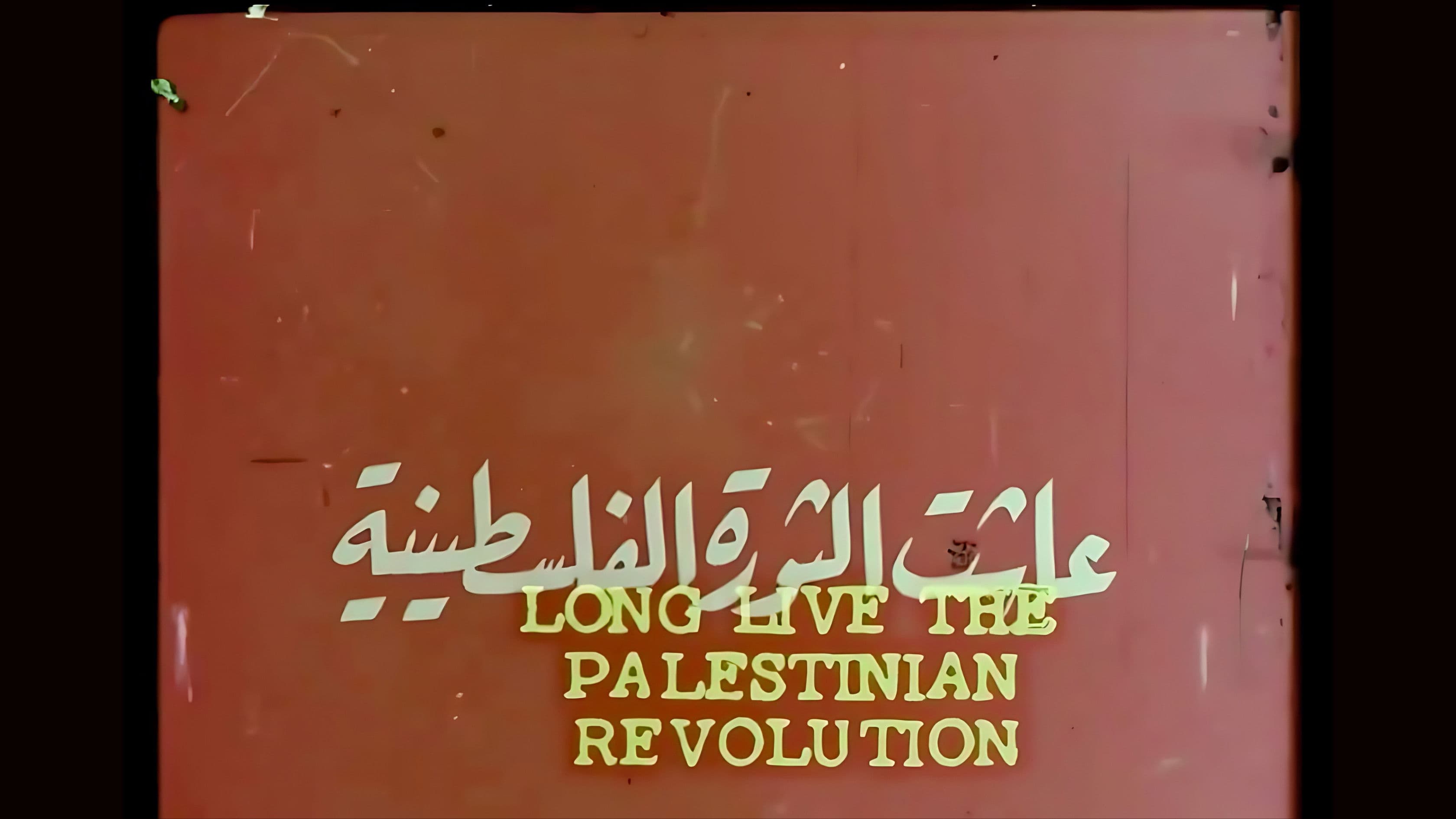 مشاهد من الاحتلال في غزة