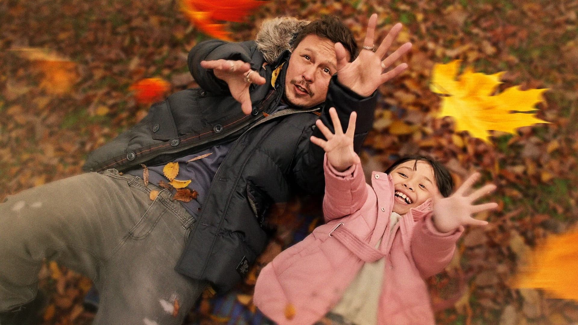 Case pentru păpuși