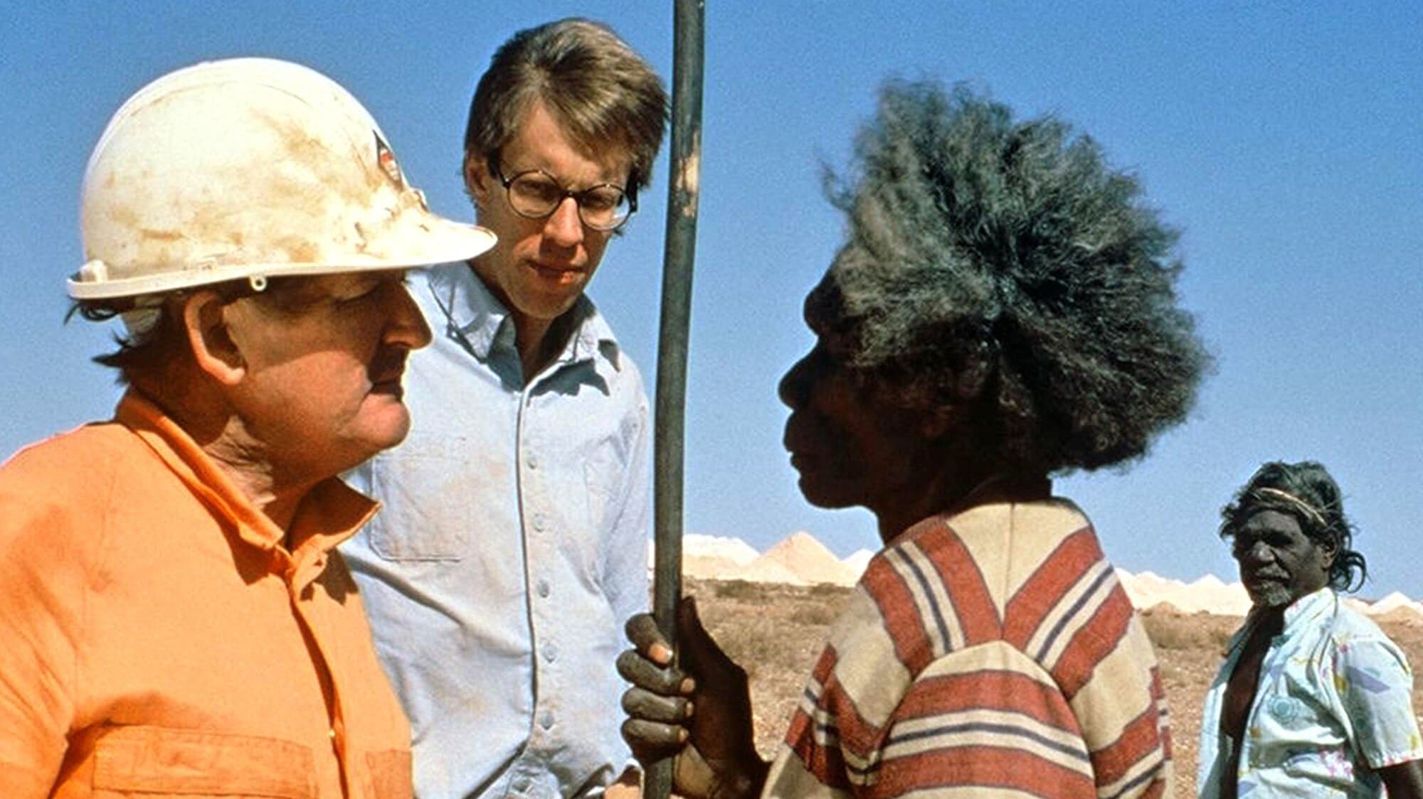 Wo die grünen Ameisen träumen